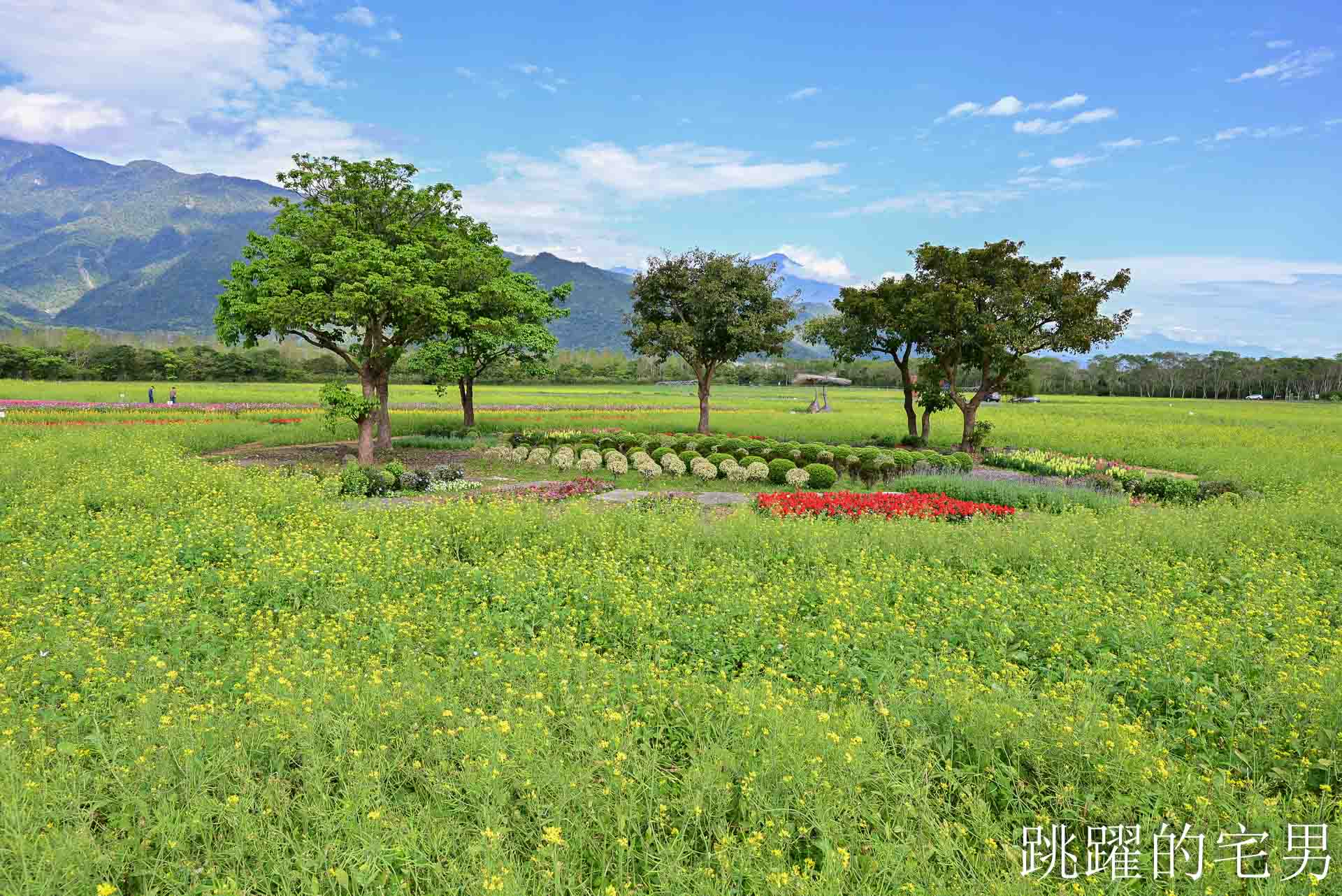 [花蓮光復景點]2026大農大富平地森林園區-光復平地森林遇見大農大富油菜花海盛開，眼前最純粹的天空藍與金色大地，花蓮春節景點，花蓮親子景點