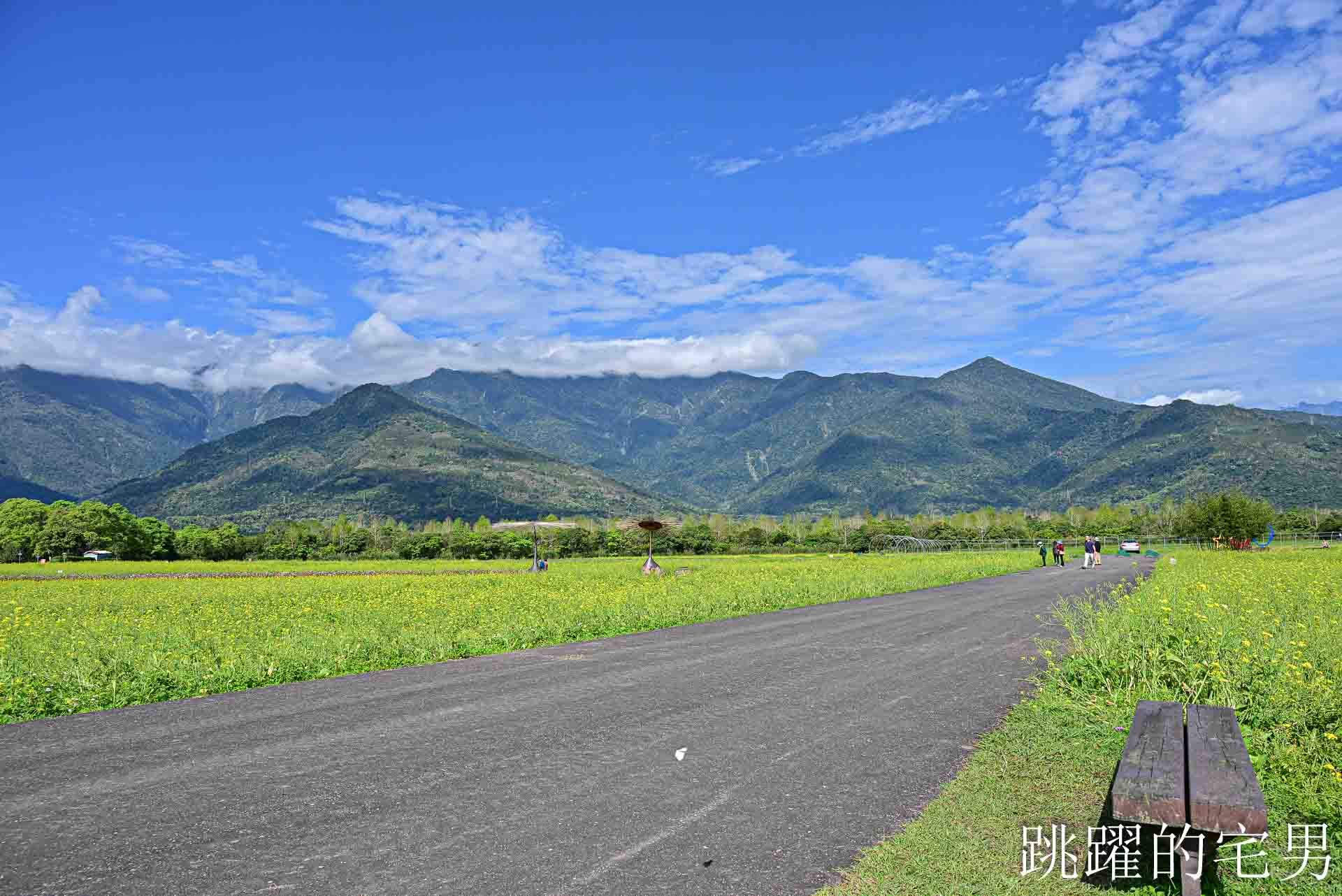[花蓮光復景點]2026大農大富平地森林園區-光復平地森林遇見大農大富油菜花海盛開，眼前最純粹的天空藍與金色大地，花蓮春節景點，花蓮親子景點