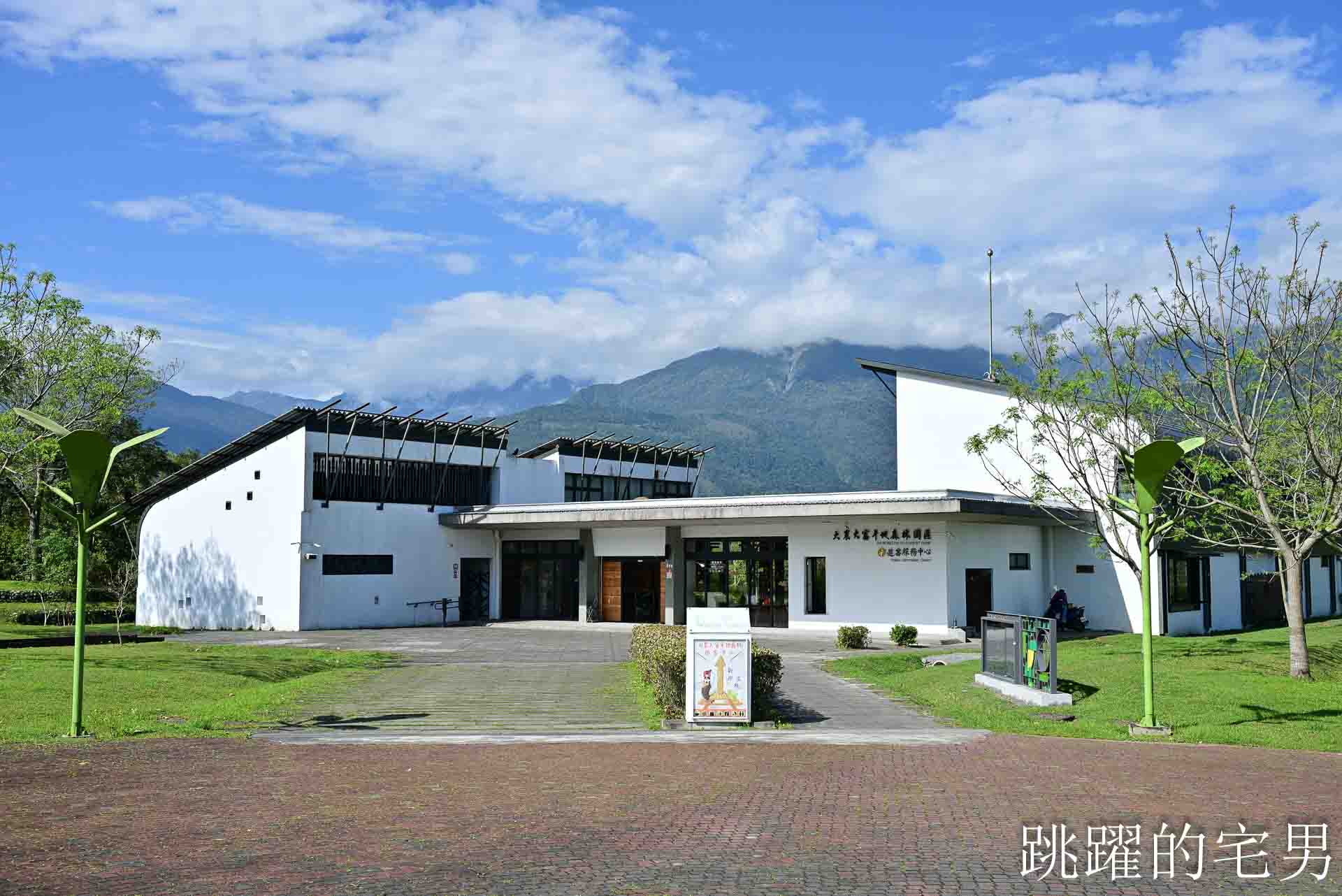 [花蓮光復景點]2026大農大富平地森林園區-光復平地森林遇見大農大富油菜花海盛開，眼前最純粹的天空藍與金色大地，花蓮春節景點，花蓮親子景點