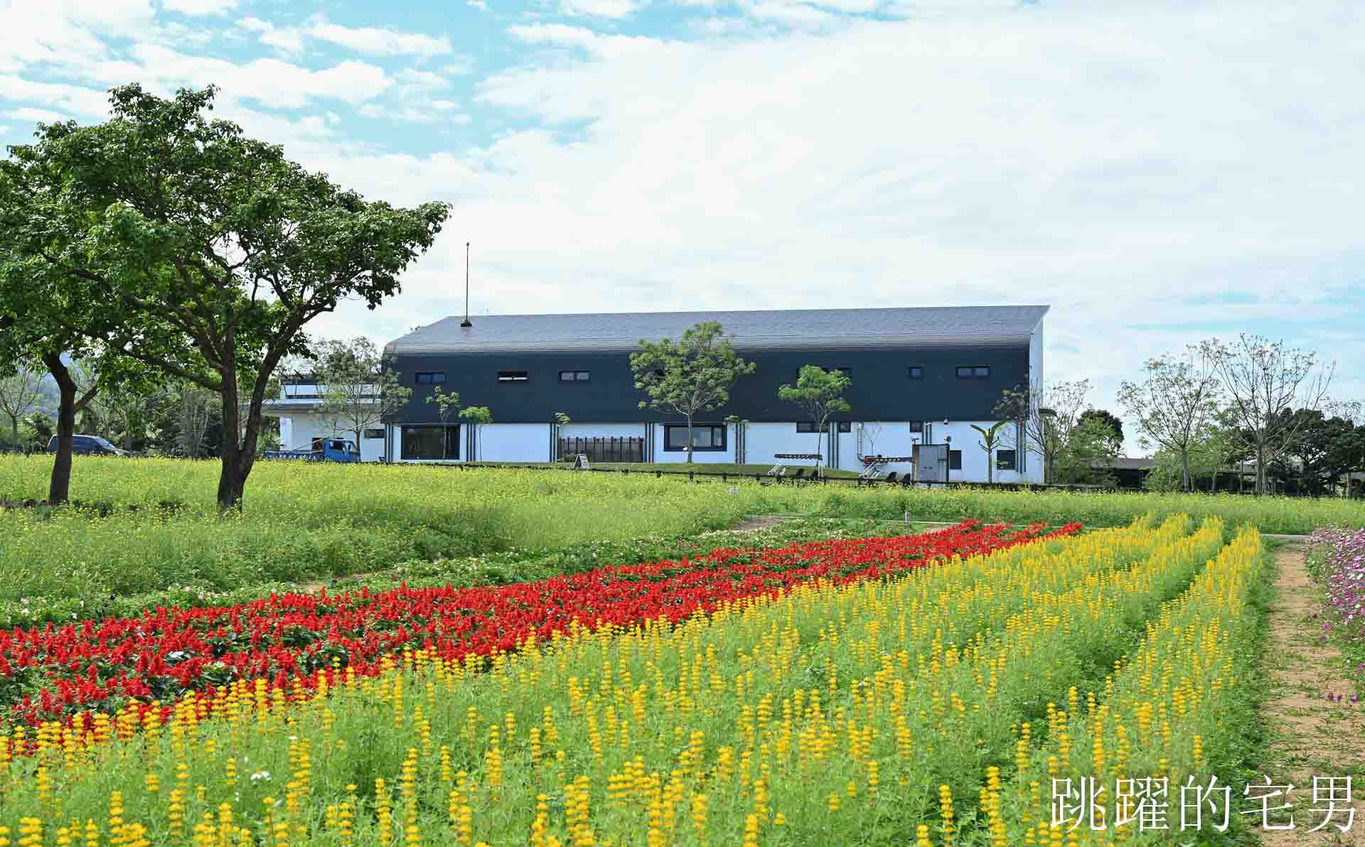 [花蓮光復景點]2026大農大富平地森林園區-光復平地森林遇見大農大富油菜花海盛開，眼前最純粹的天空藍與金色大地，花蓮春節景點，花蓮親子景點