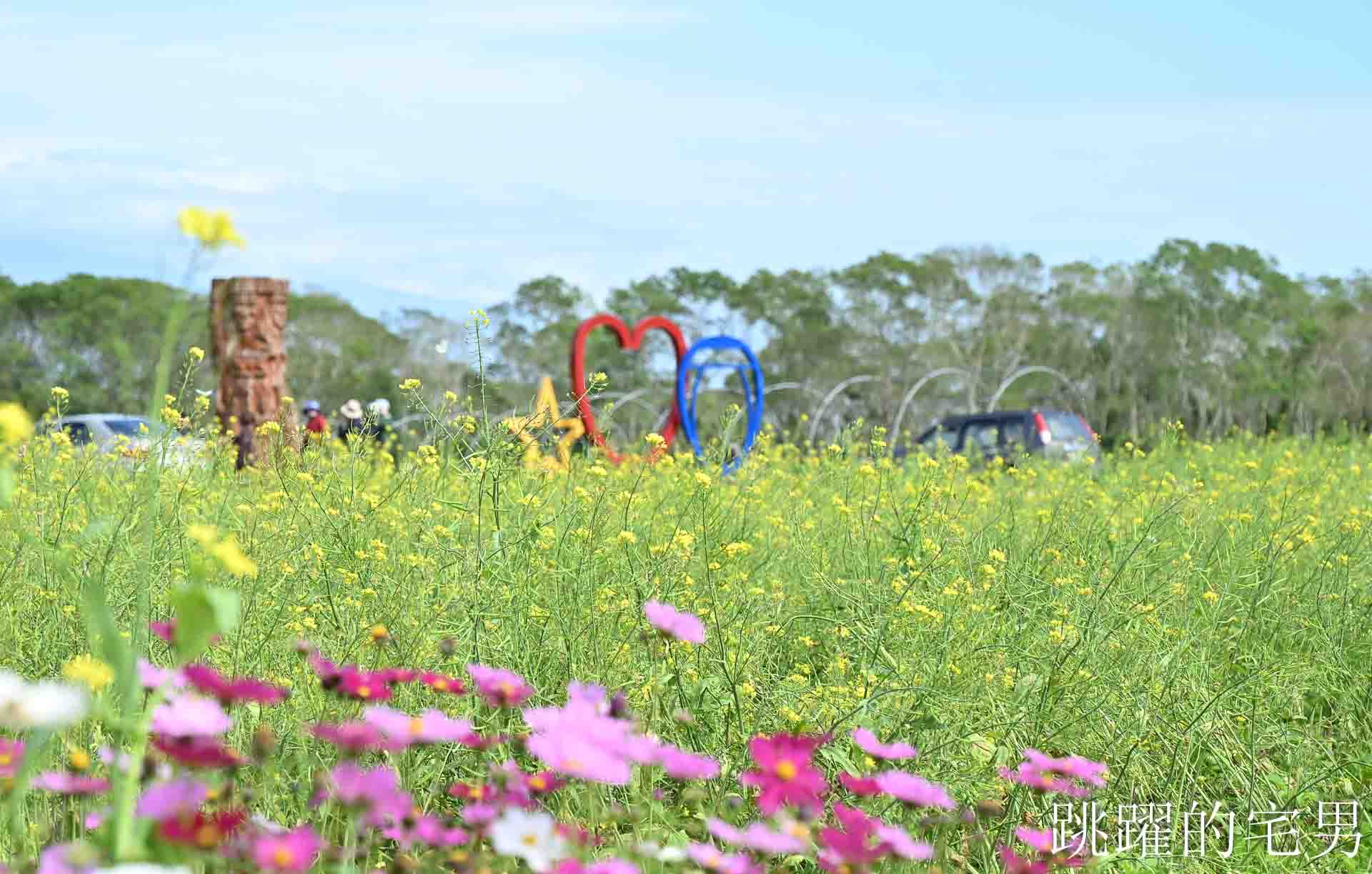 [花蓮光復景點]2026大農大富平地森林園區-光復平地森林遇見大農大富油菜花海盛開，眼前最純粹的天空藍與金色大地，花蓮春節景點，花蓮親子景點