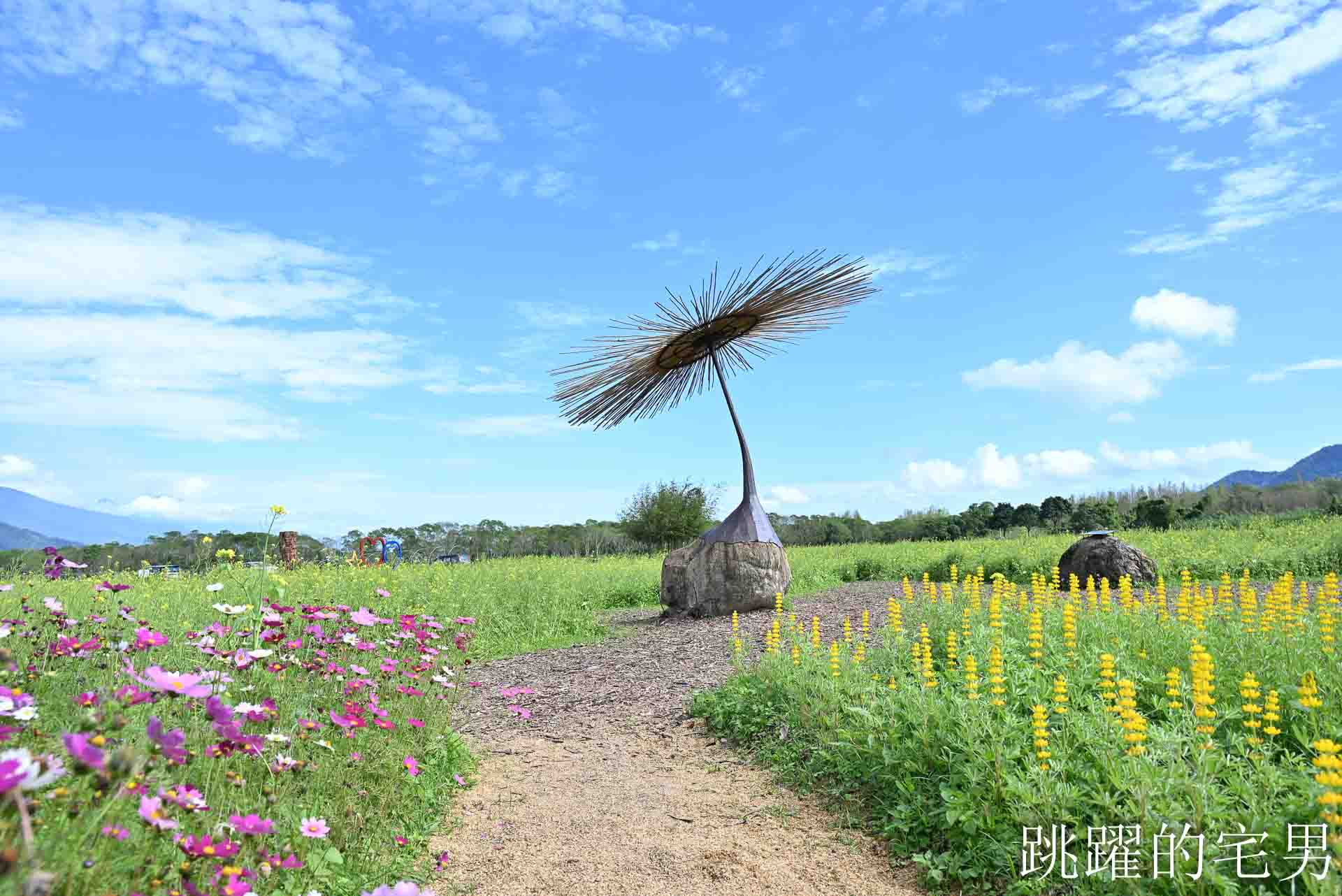 [花蓮光復景點]2026大農大富平地森林園區-光復平地森林遇見大農大富油菜花海盛開，眼前最純粹的天空藍與金色大地，花蓮春節景點，花蓮親子景點