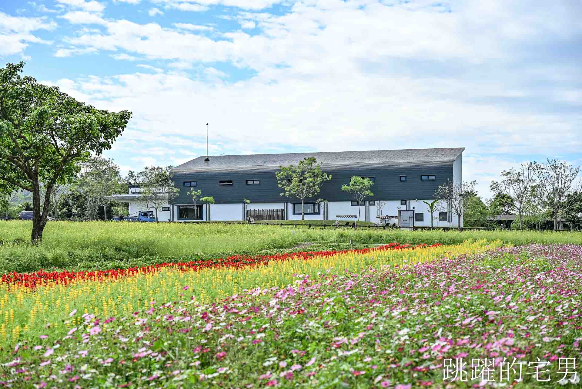 網站近期文章：[花蓮光復景點]2026大農大富平地森林園區-光復平地森林遇見大農大富油菜花海盛開，眼前最純粹的天空藍與金色大地，花蓮春節景點，花蓮親子景點