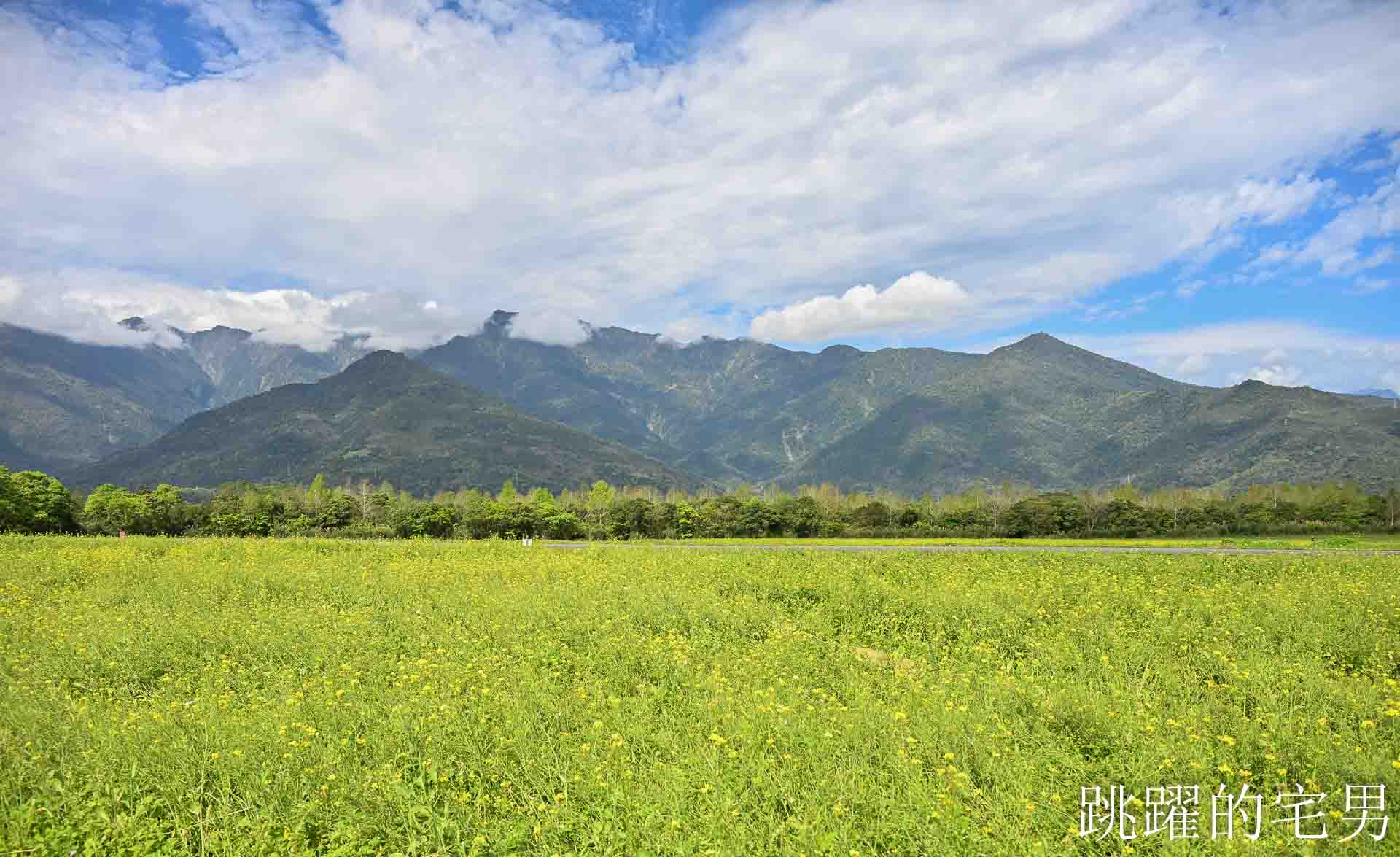 [花蓮光復景點]2026大農大富平地森林園區-光復平地森林遇見大農大富油菜花海盛開，眼前最純粹的天空藍與金色大地，花蓮春節景點，花蓮親子景點