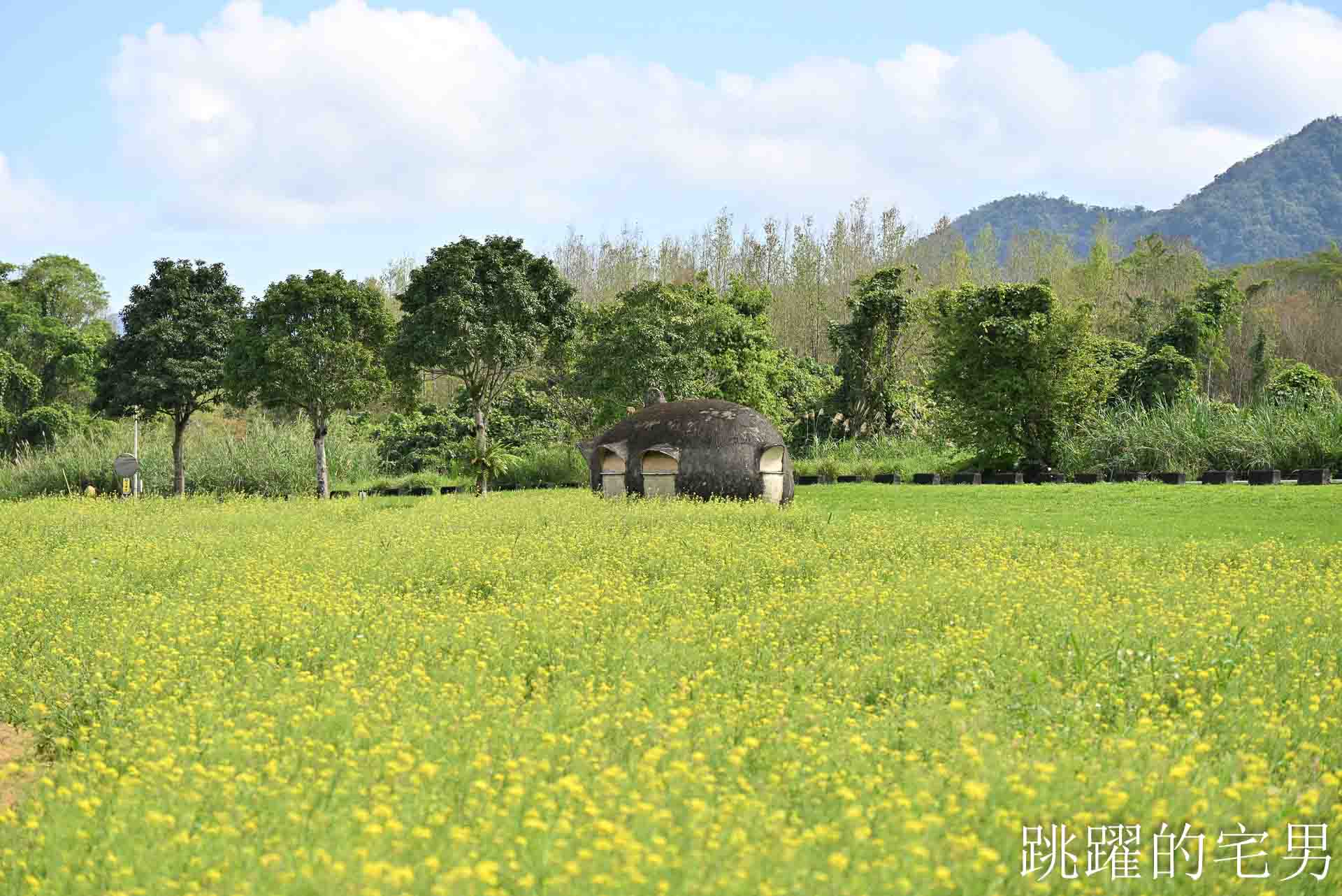 [花蓮光復景點]2026大農大富平地森林園區-光復平地森林遇見大農大富油菜花海盛開，眼前最純粹的天空藍與金色大地，花蓮春節景點，花蓮親子景點