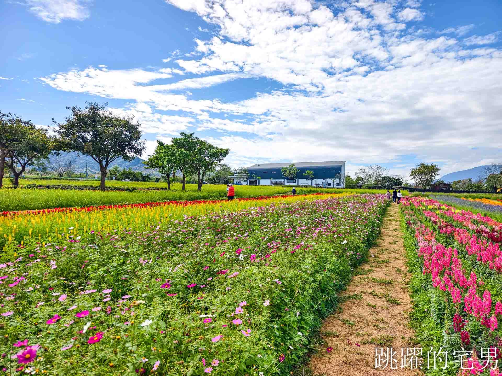 網站近期文章：[花蓮光復景點]2026大農大富平地森林園區-光復平地森林遇見大農大富油菜花海盛開，眼前最純粹的天空藍與金色大地，花蓮春節景點，花蓮親子景點