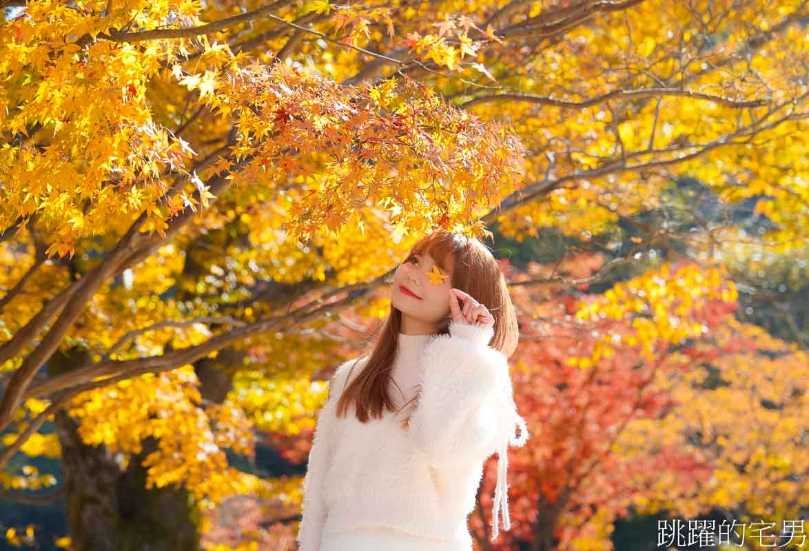 [花蓮旅行社推薦]2026出國必看! 星綸旅遊開幕慶，花蓮直飛韓國、日本客製化超殺優惠，京阪神/釜山兩萬有找，花蓮人客製化國外行程