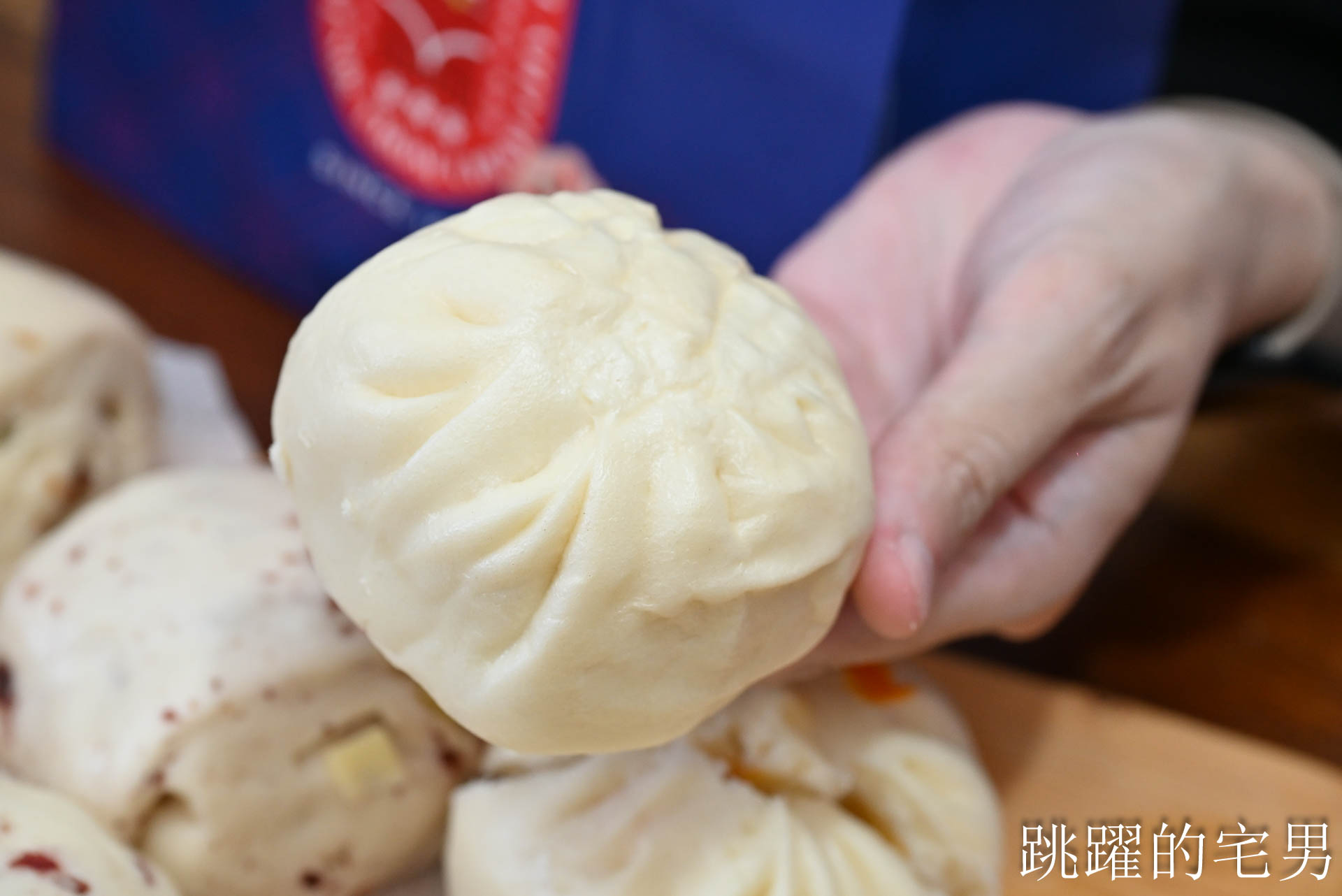 [宅配包子推薦]阿潘肉包-60年嘉義美食老麵包子獨特口感就是好!  扁魚香辣鮮肉包、手工十二折咖哩酥一吃就愛上，宅配美食推薦