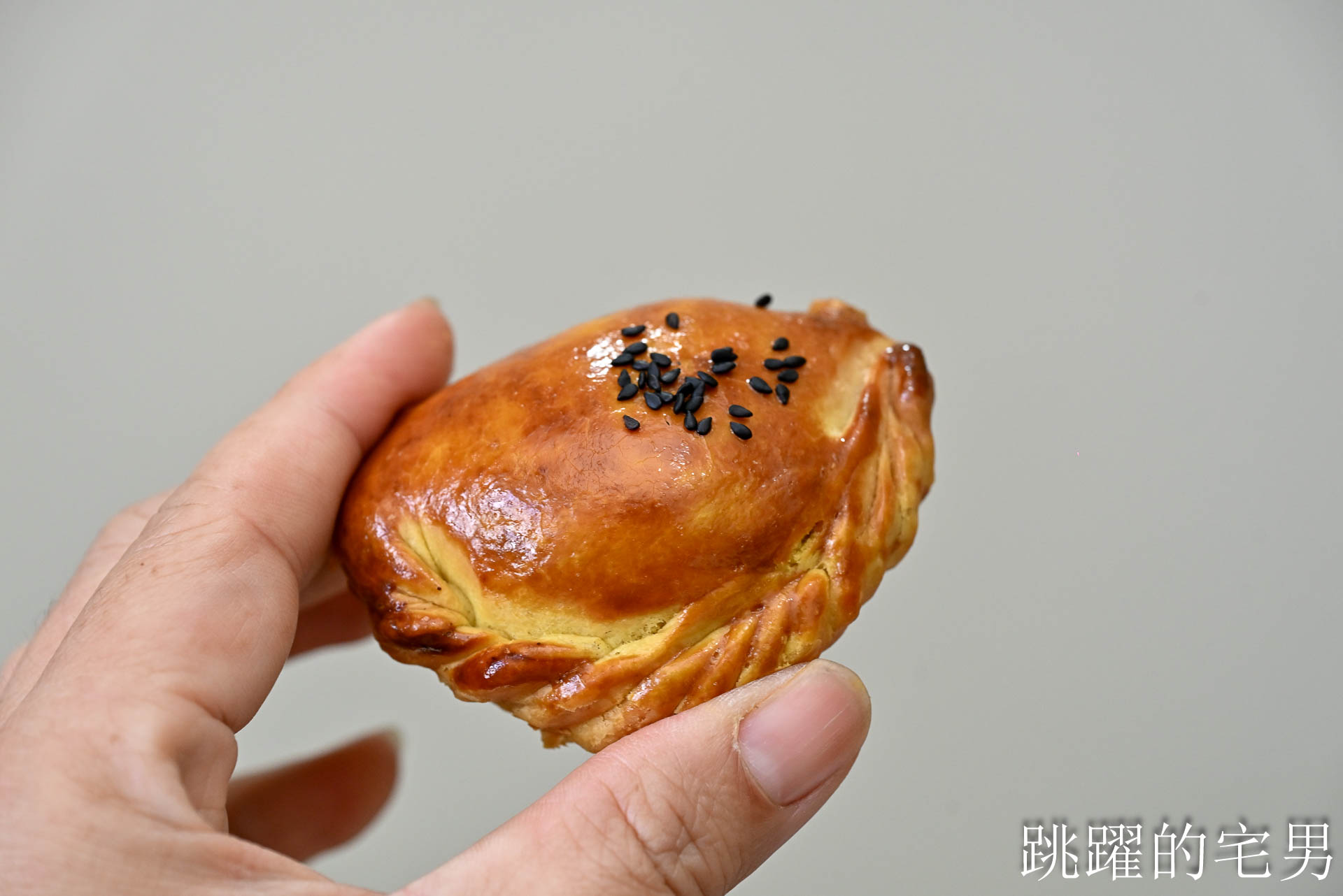 [宅配包子推薦]阿潘肉包-60年嘉義美食老麵包子獨特口感就是好!  扁魚香辣鮮肉包、手工十二折咖哩酥一吃就愛上，宅配美食推薦