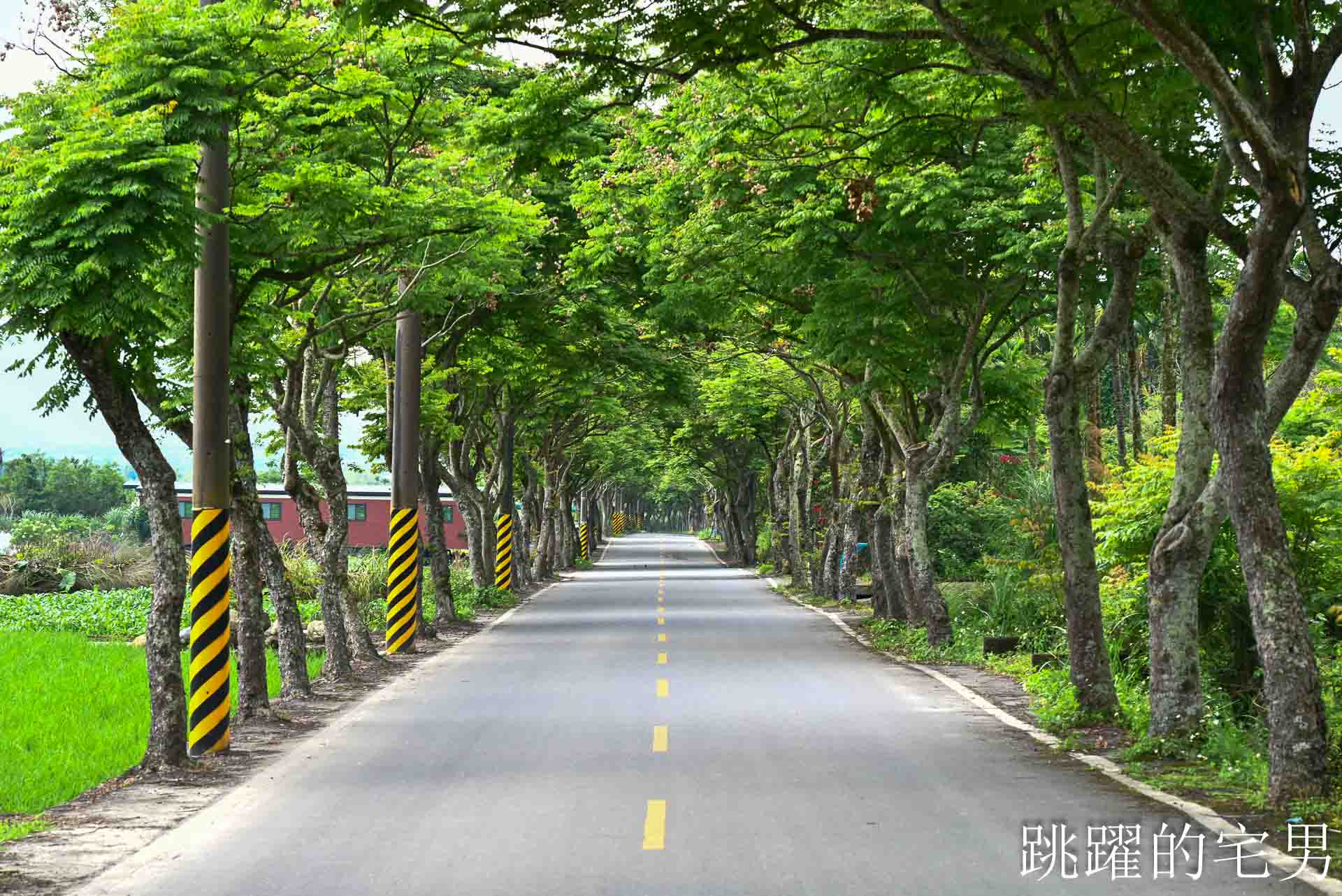 [花蓮鳳林景點] 鳳林鄉間小路開車穿梭綠色隧道，直達半山腰的花蓮景觀餐廳「月廬」