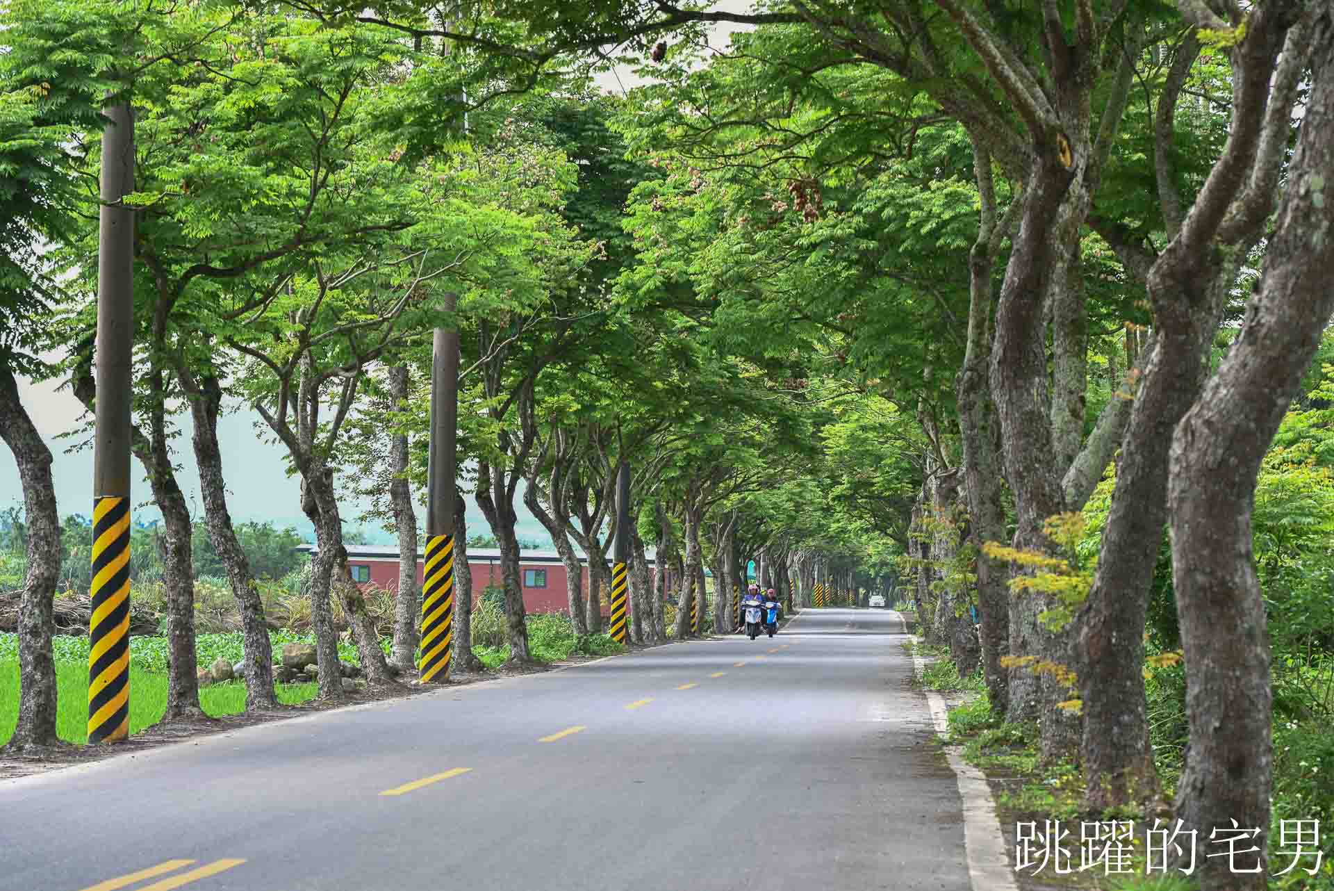 [花蓮鳳林景點] 鳳林鄉間小路開車穿梭綠色隧道，直達半山腰的花蓮景觀餐廳「月廬」