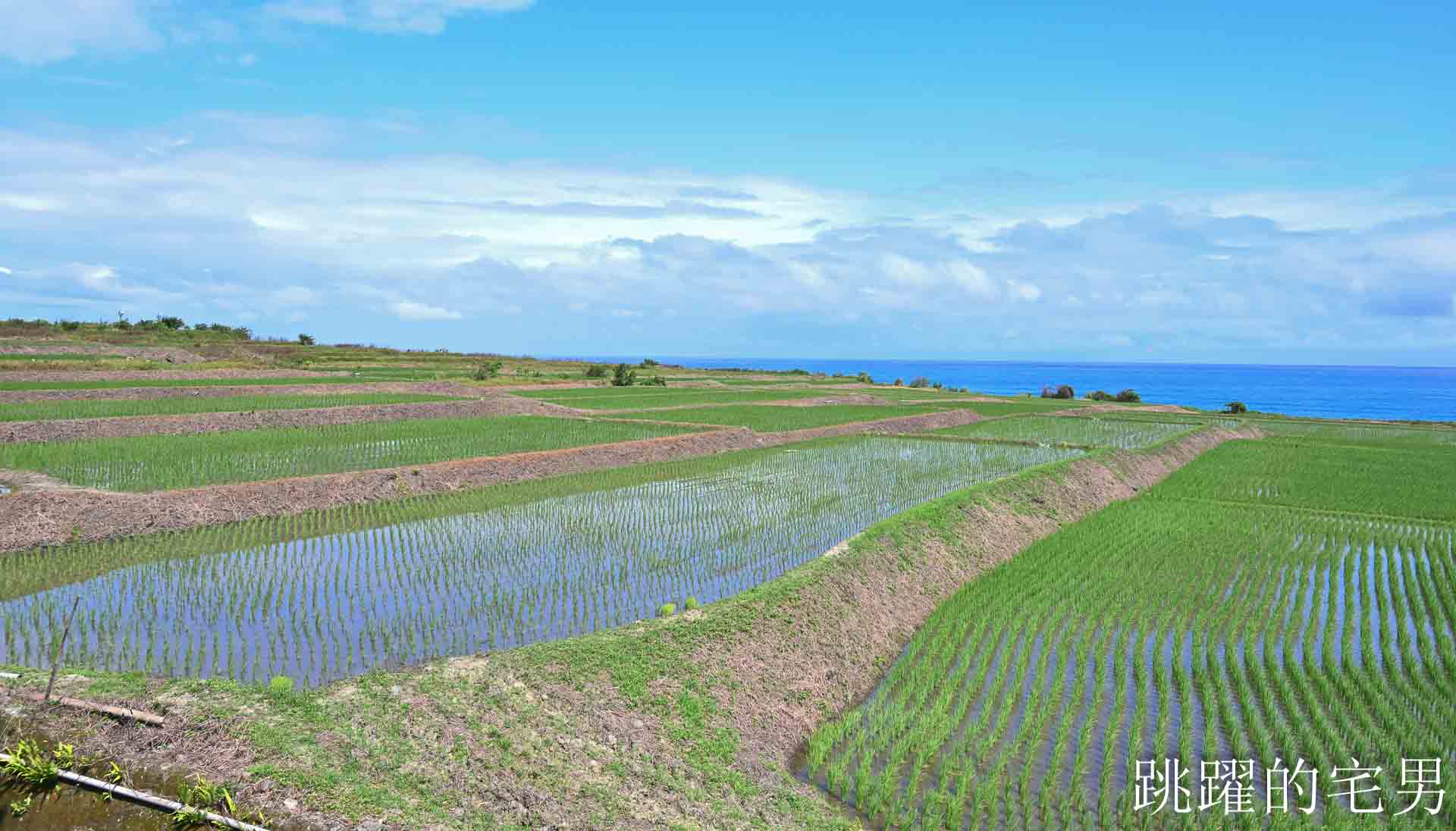 [花蓮海鮮推薦]噶瑪蘭風味餐廳2026原址重新開業!  超好吃豐濱海鮮餐廳改預約制， 活龍蝦、鹹蛋透抽有夠好吃，最新營業時間、電話，噶瑪蘭海產店