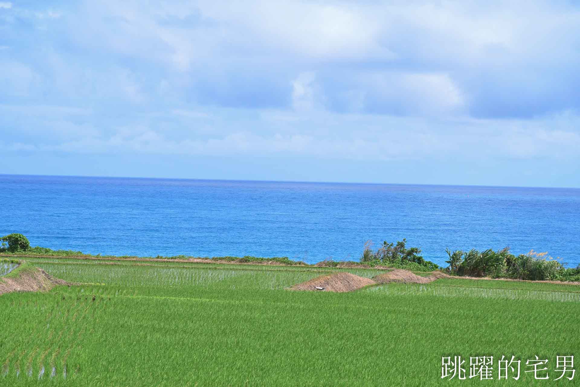 [花蓮海鮮推薦]噶瑪蘭風味餐廳2026原址重新開業!  超好吃豐濱海鮮餐廳改預約制， 活龍蝦、鹹蛋透抽有夠好吃，最新營業時間、電話，噶瑪蘭海產店