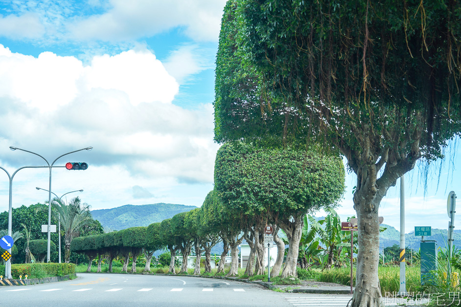 [花蓮鳳林景點] 鳳林鄉間小路開車穿梭綠色隧道，直達半山腰的花蓮景觀餐廳「月廬」