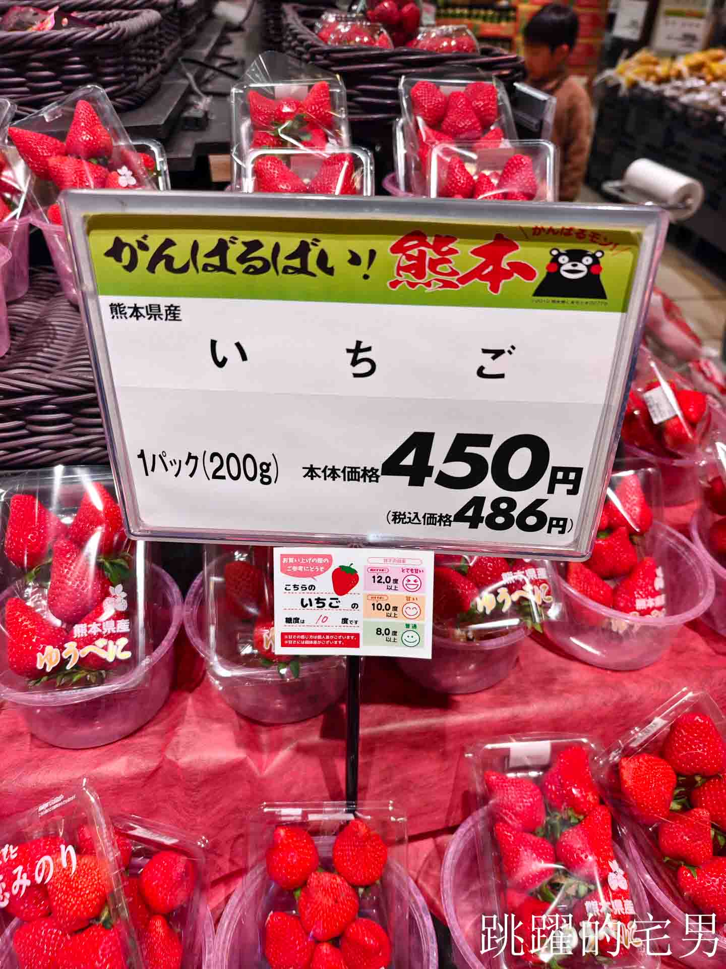 [2026熊本住宿推薦]domo+日光之森民宿-包棟日本合法民宿還提供免費機場接送，domo+ 日光の森熊本公寓式酒店有廚房，逛超市煮和牛超開心