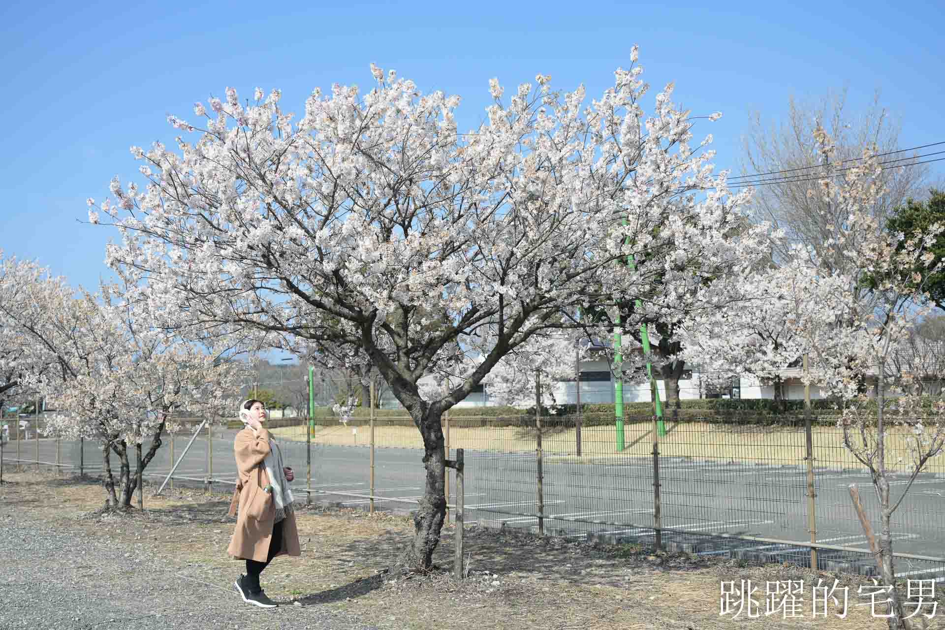 [2026熊本住宿推薦]domo+日光之森民宿-包棟日本合法民宿還提供免費機場接送，domo+ 日光の森熊本公寓式酒店有廚房，逛超市煮和牛超開心