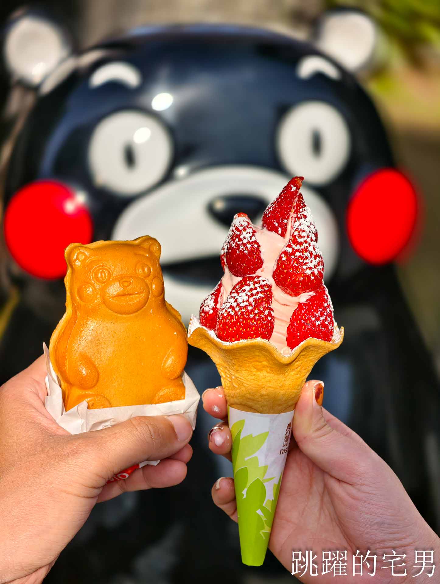 [2026熊本住宿推薦]domo+日光之森民宿-包棟日本合法民宿還提供免費機場接送，domo+ 日光の森熊本公寓式酒店有廚房，逛超市煮和牛超開心