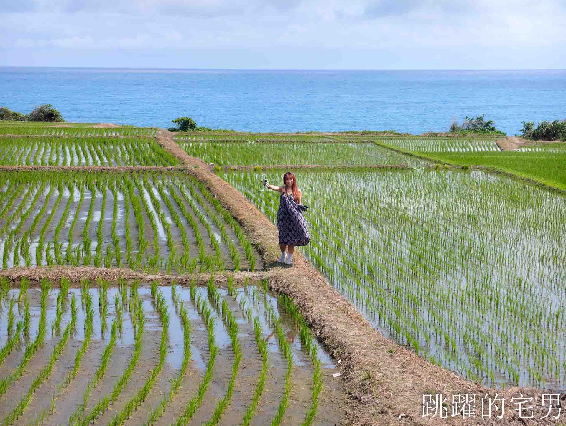 [花蓮海鮮推薦]噶瑪蘭風味餐廳2026原址重新開業!  超好吃豐濱海鮮餐廳改預約制， 活龍蝦、鹹蛋透抽有夠好吃，最新營業時間、電話，噶瑪蘭海產店