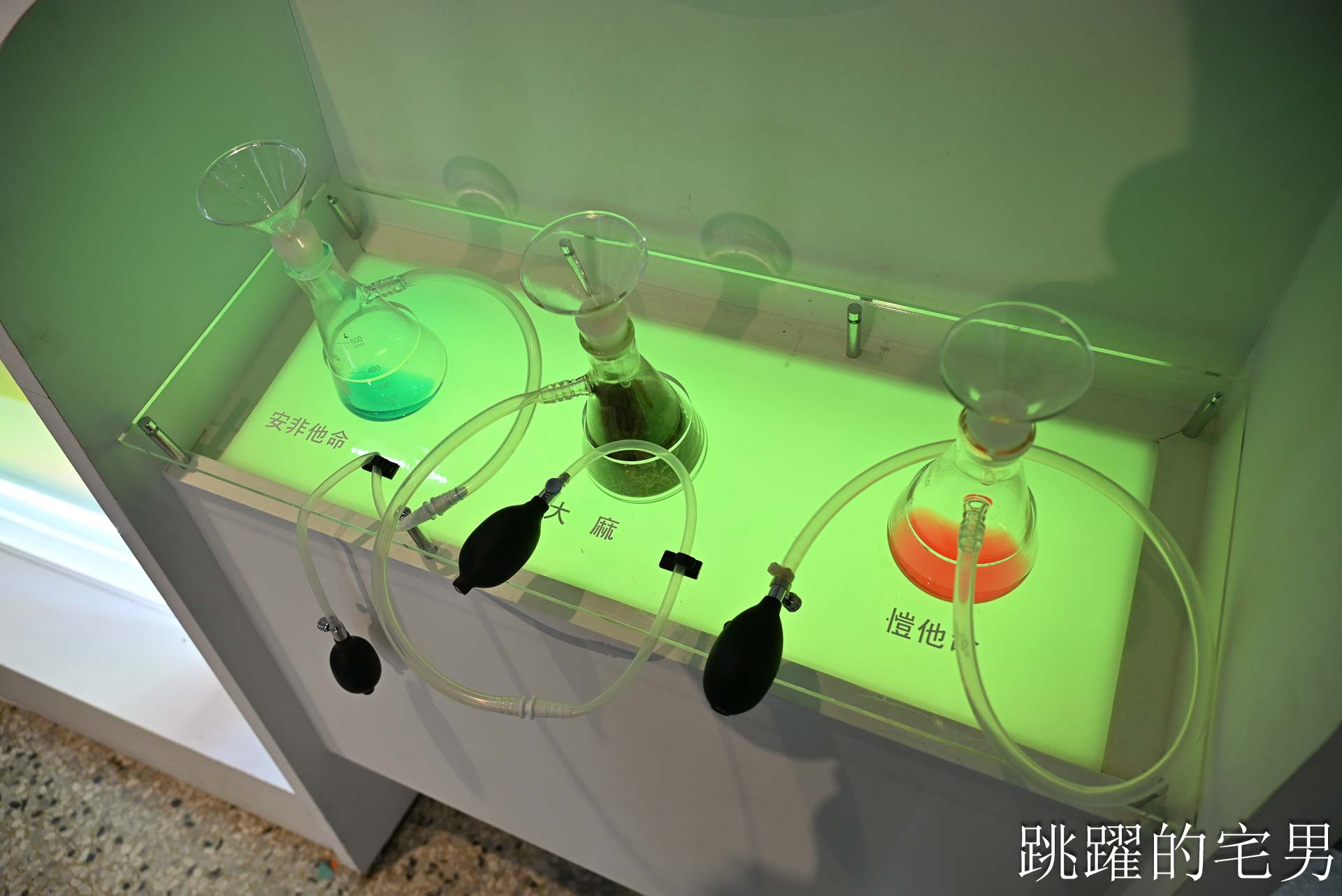 [花蓮活動]2026花蓮反毒教育特展-互動性超強「不是說教式展覽」園遊會抽獎活動，「解癮」解開毒品上癮的真相花蓮文創園區