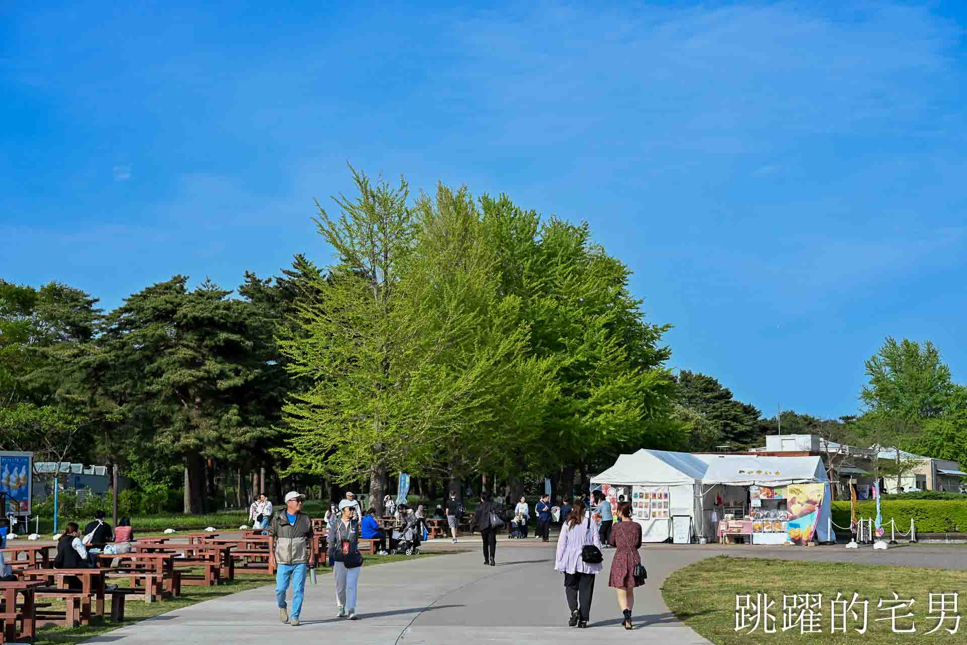 [茨城景點]國營常陸海濱公園-整片藍色花海就在日本見晴之丘粉蝶花，絕美景色超不真實，国営ひたち海浜公園-2026みはらしの丘