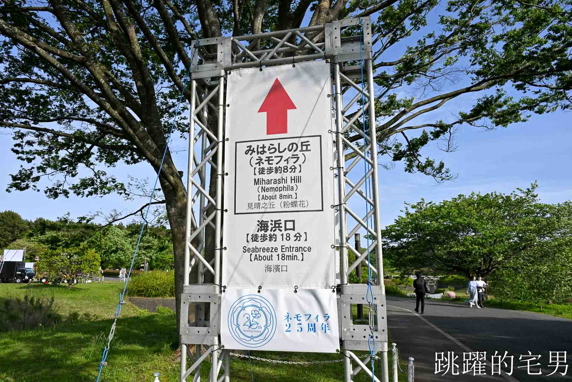 [茨城景點]國營常陸海濱公園-整片藍色花海就在日本見晴之丘粉蝶花，絕美景色超不真實，国営ひたち海浜公園-2026みはらしの丘