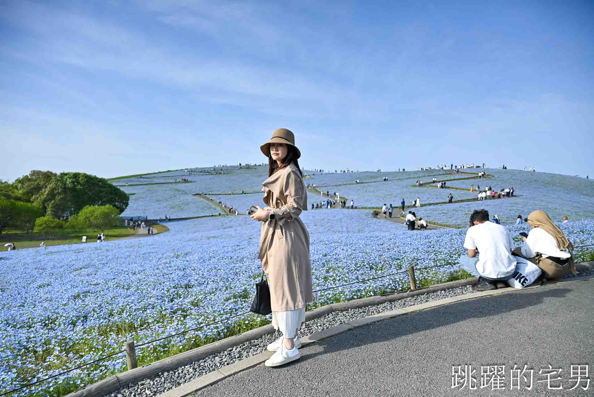 [茨城景點]國營常陸海濱公園-整片藍色花海就在日本見晴之丘粉蝶花，絕美景色超不真實，国営ひたち海浜公園-2026みはらしの丘