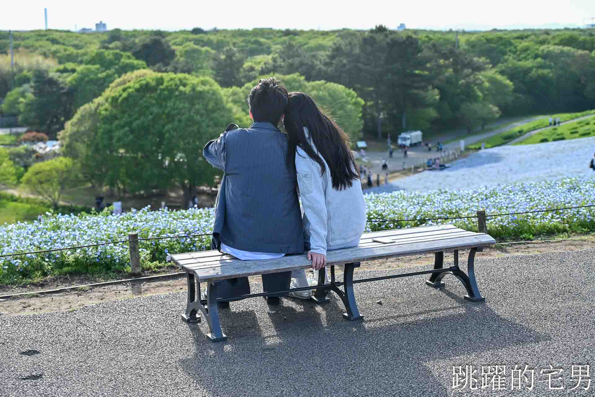 [茨城景點]國營常陸海濱公園-整片藍色花海就在日本見晴之丘粉蝶花，絕美景色超不真實，国営ひたち海浜公園-2026みはらしの丘