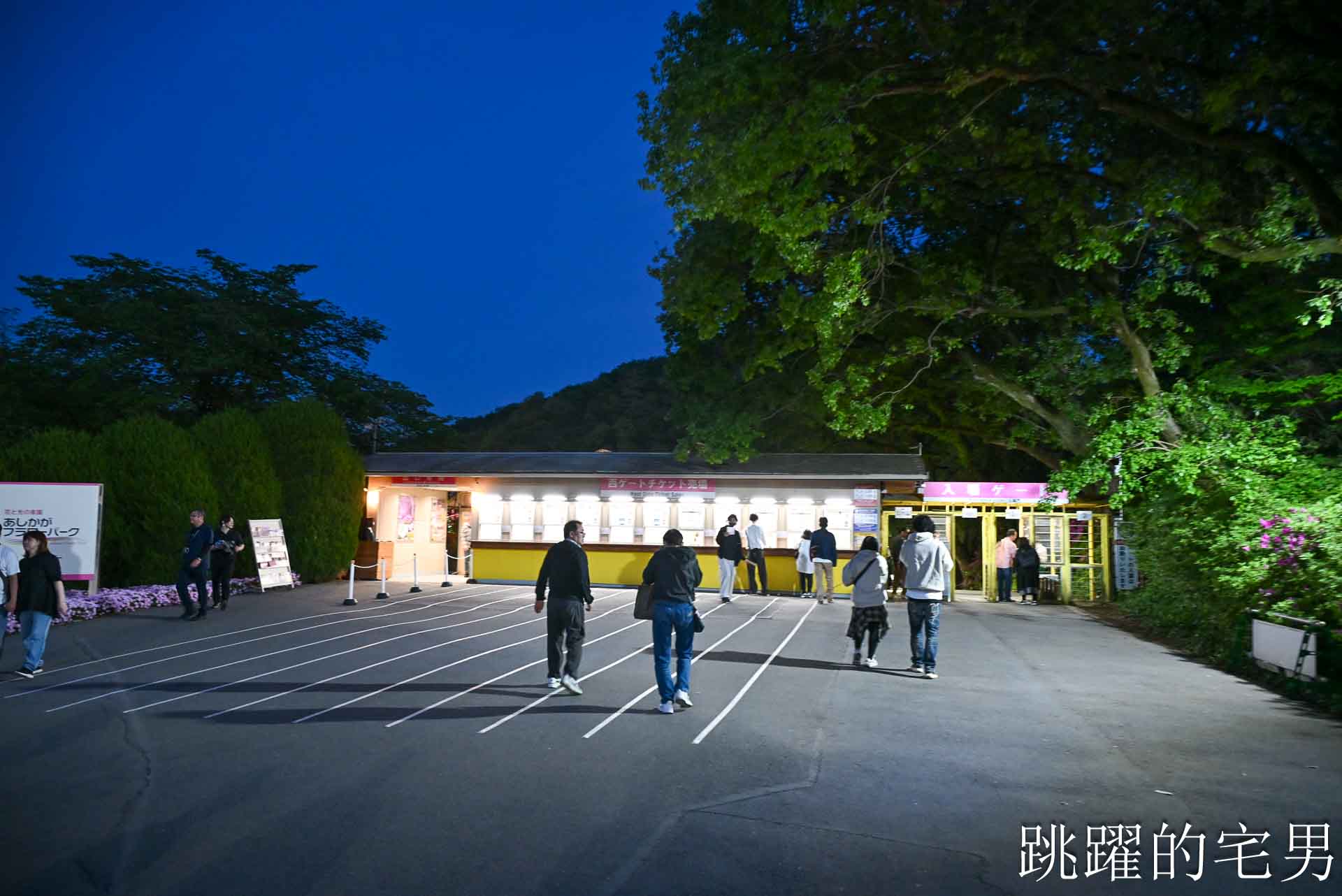 [櫪木景點] 足利花卉公園: CNN推薦夢幻景點，160年紫藤花瀑布超夢幻 !