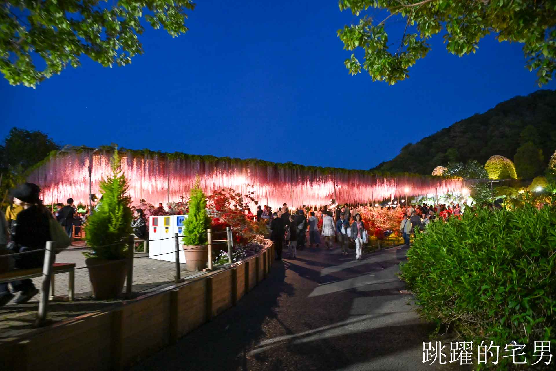 [櫪木景點] 足利花卉公園: CNN推薦夢幻景點，160年紫藤花瀑布超夢幻 !