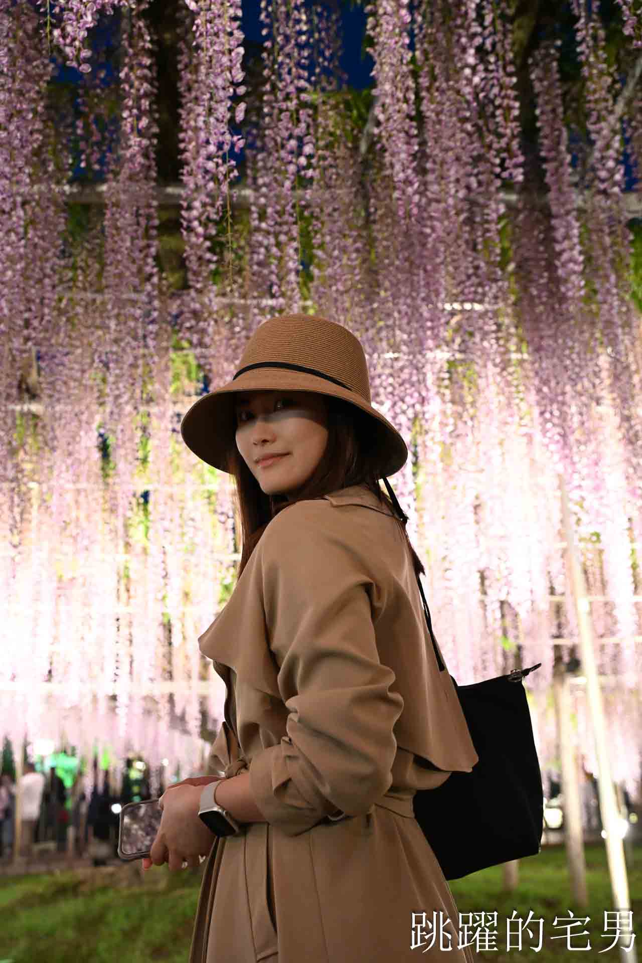 [櫪木景點] 足利花卉公園: CNN推薦夢幻景點，160年紫藤花瀑布超夢幻 !