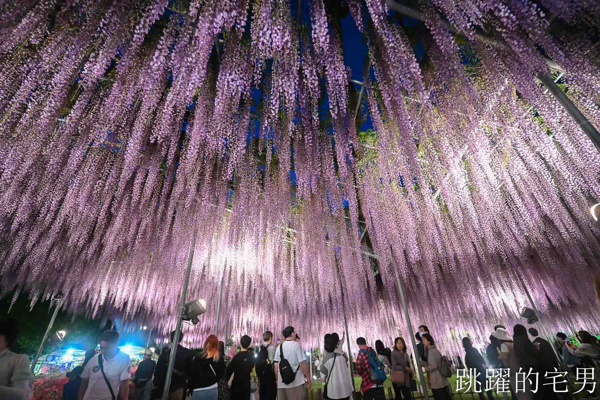 [櫪木景點] 足利花卉公園: CNN推薦夢幻景點，160年紫藤花瀑布超夢幻 !