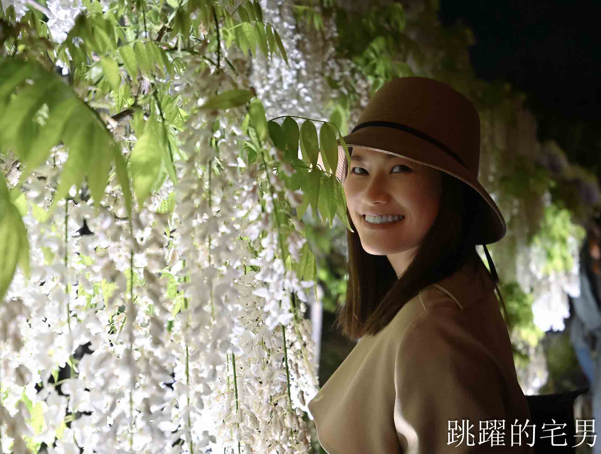 [櫪木景點] 足利花卉公園: CNN推薦夢幻景點，160年紫藤花瀑布超夢幻 !