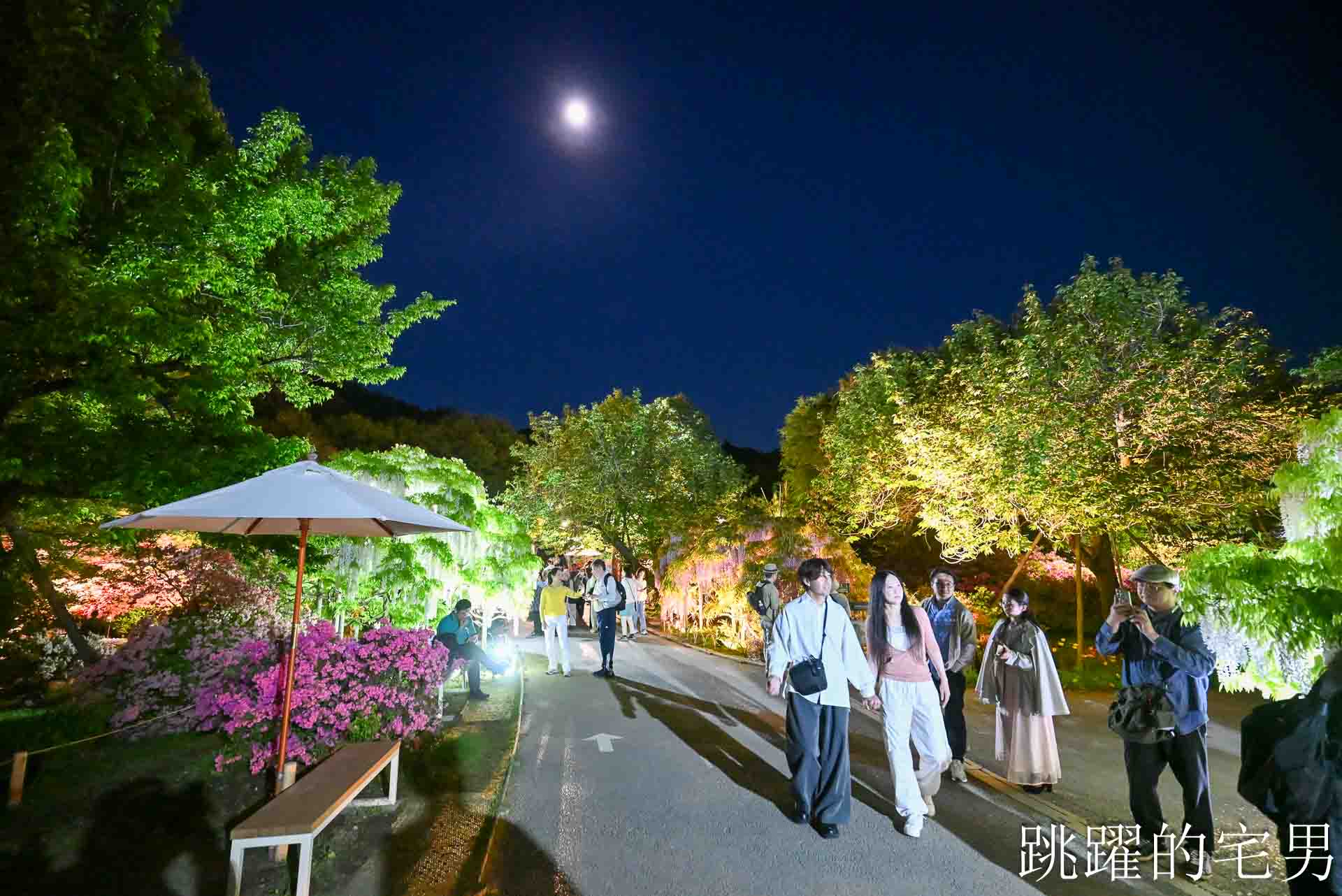 [櫪木景點] 足利花卉公園: CNN推薦夢幻景點，160年紫藤花瀑布超夢幻 !