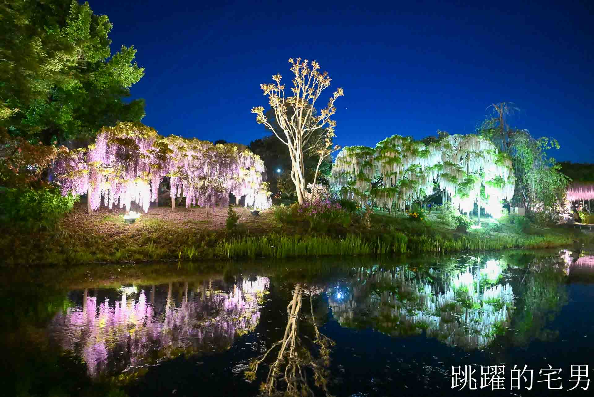 [櫪木景點] 足利花卉公園: CNN推薦夢幻景點，160年紫藤花瀑布超夢幻 !