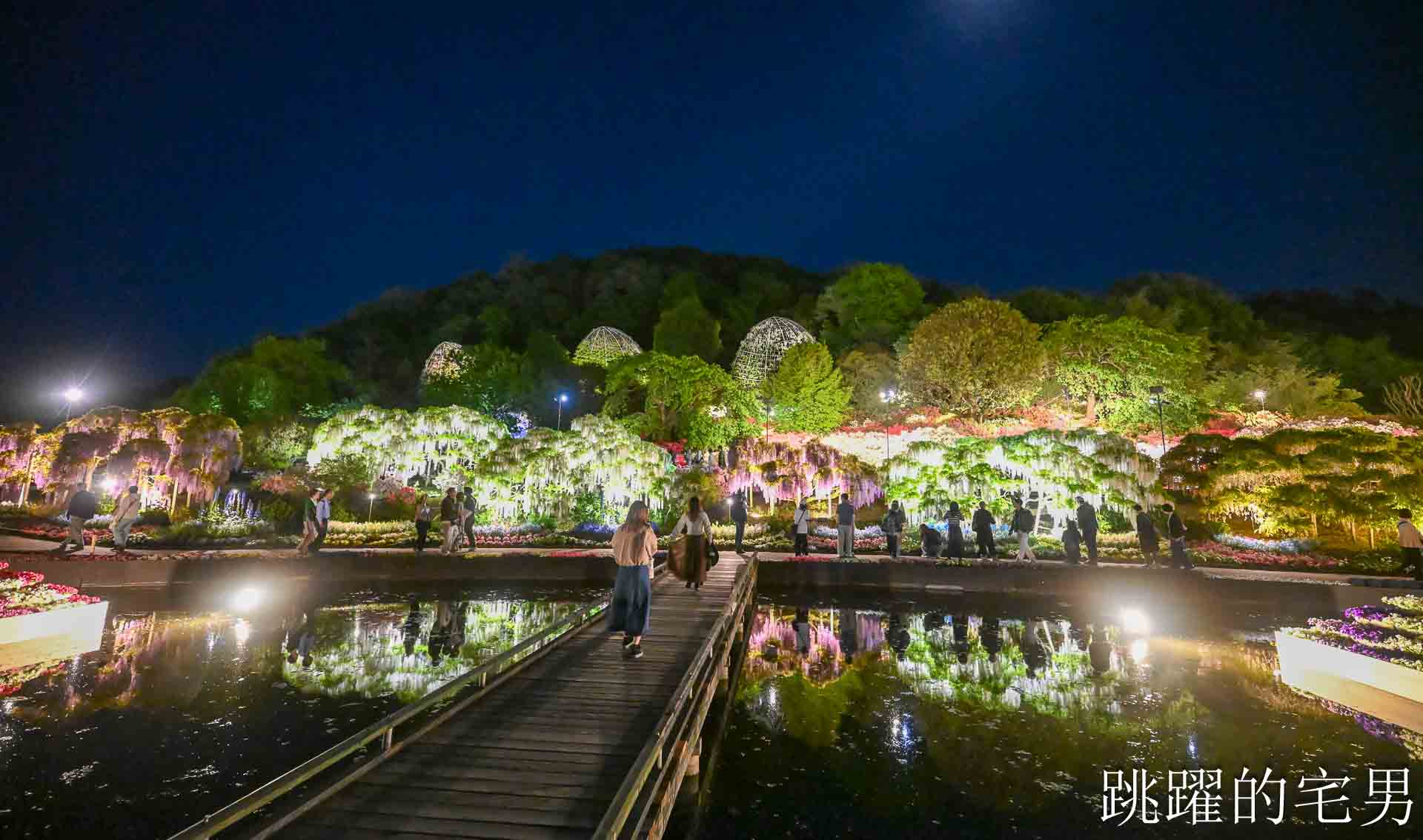 [櫪木景點] 足利花卉公園: CNN推薦夢幻景點，160年紫藤花瀑布超夢幻 !
