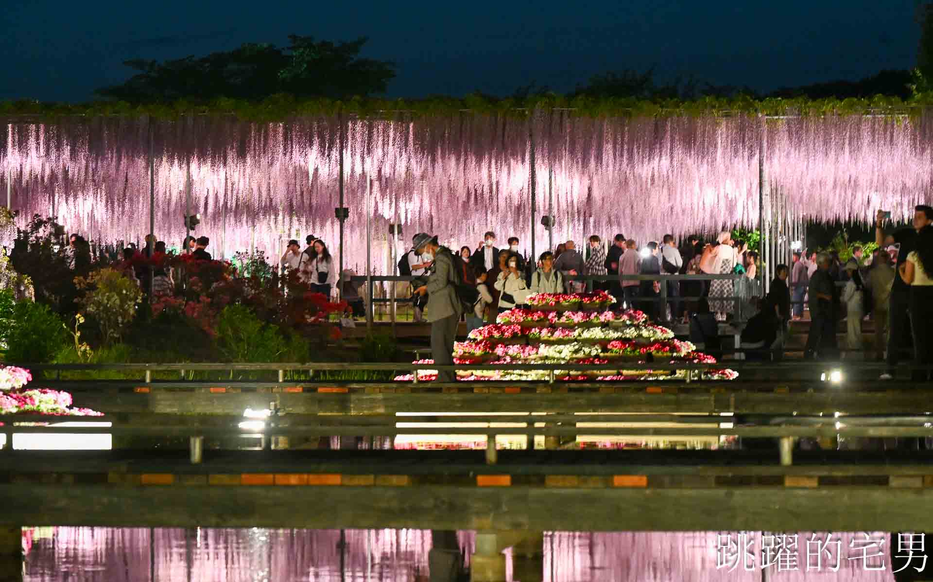 [櫪木景點] 足利花卉公園: CNN推薦夢幻景點，160年紫藤花瀑布超夢幻 !