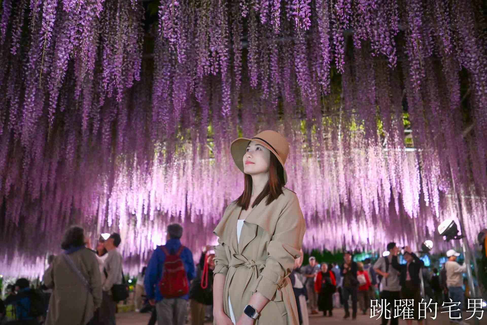 [櫪木景點] 足利花卉公園: CNN推薦夢幻景點，160年紫藤花瀑布超夢幻 !