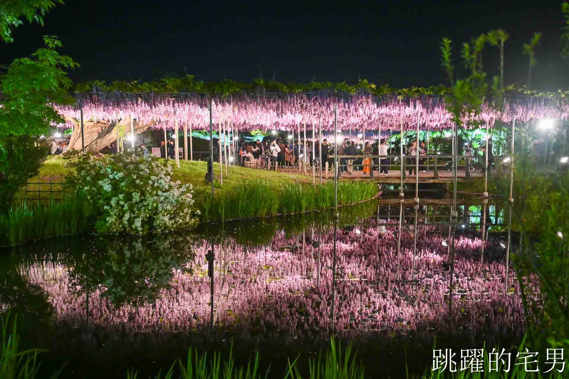 [櫪木景點] 足利花卉公園: CNN推薦夢幻景點，160年紫藤花瀑布超夢幻 !