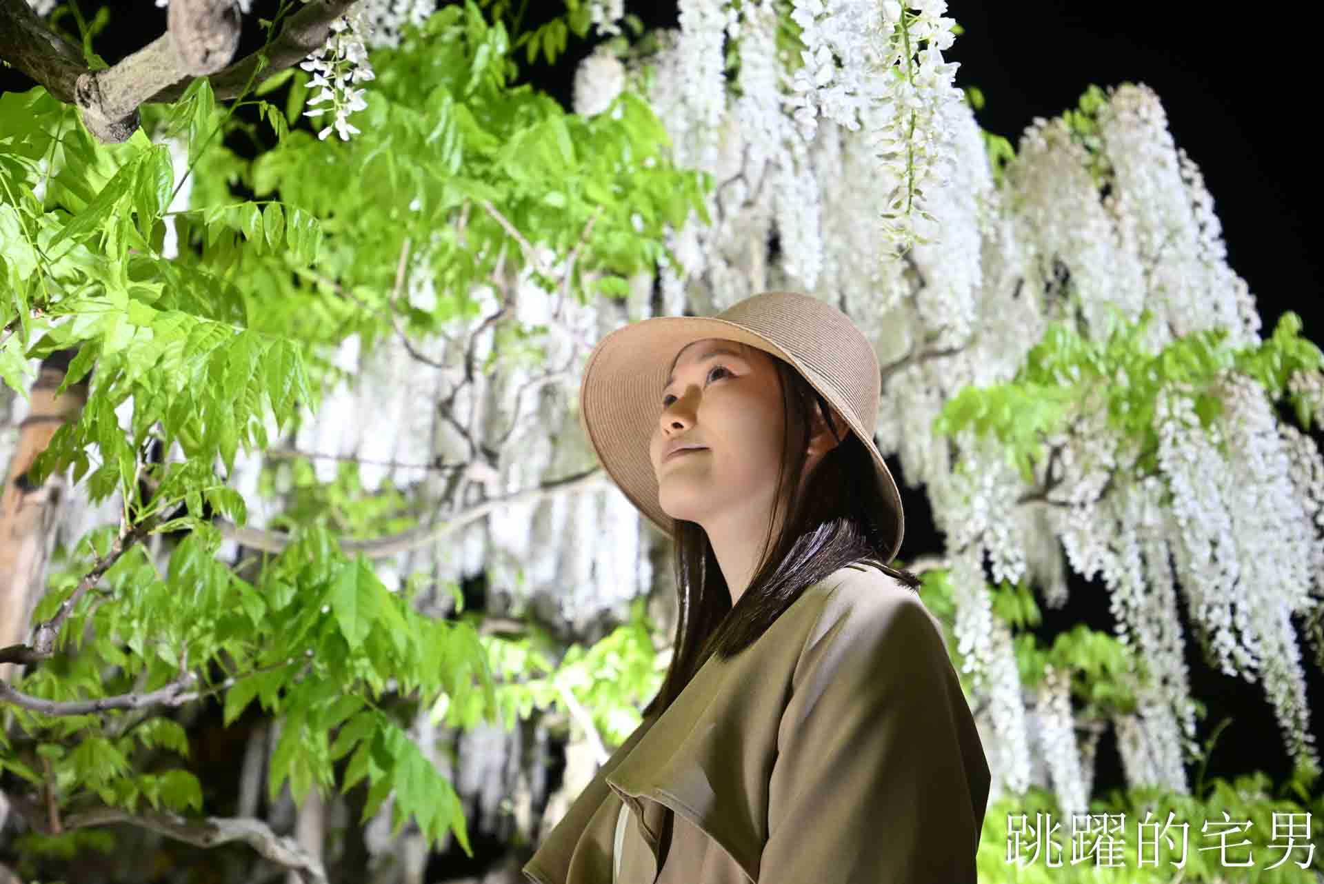 [櫪木景點] 足利花卉公園: CNN推薦夢幻景點，160年紫藤花瀑布超夢幻 !