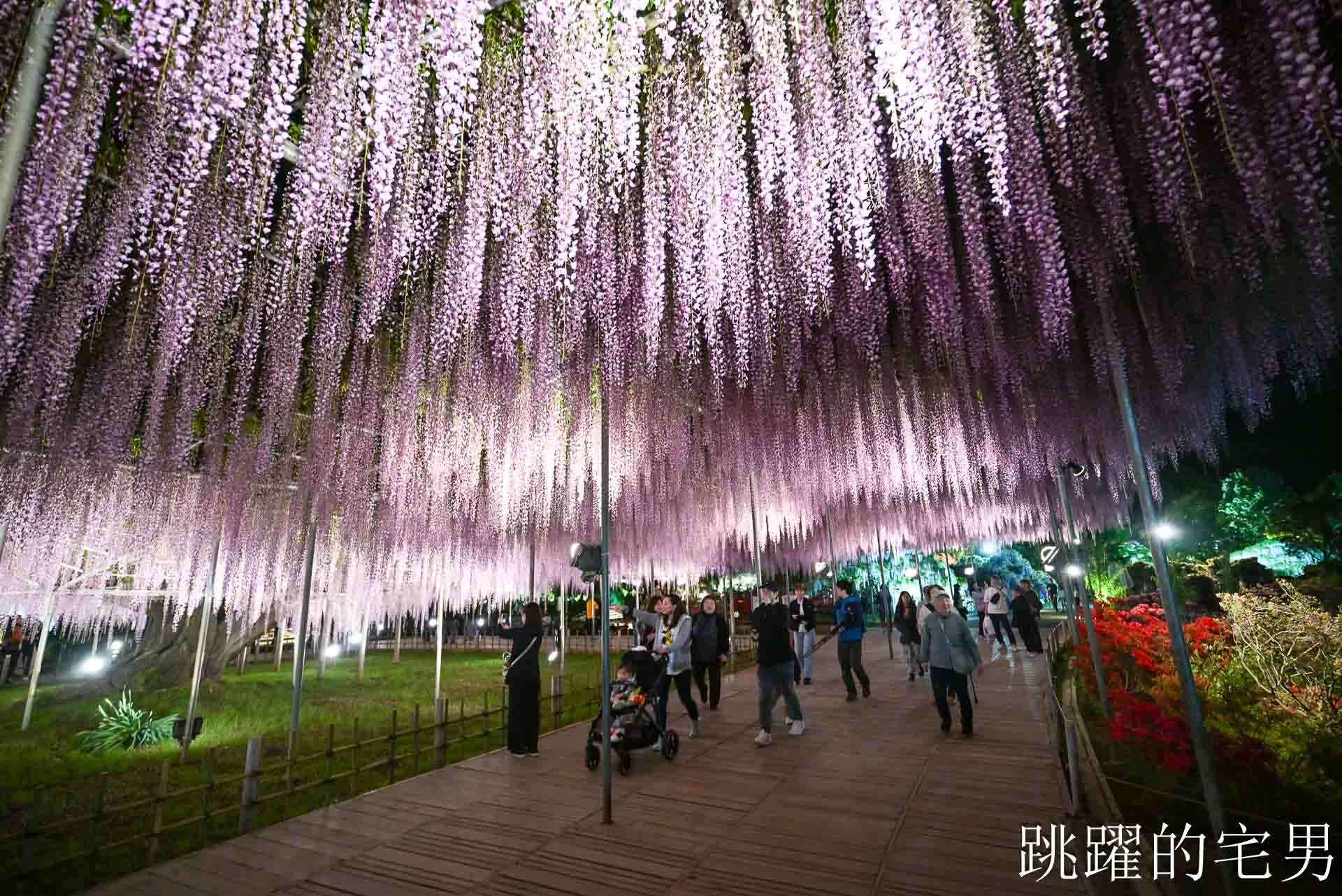 [櫪木景點] 足利花卉公園: CNN推薦夢幻景點，160年紫藤花瀑布超夢幻 !