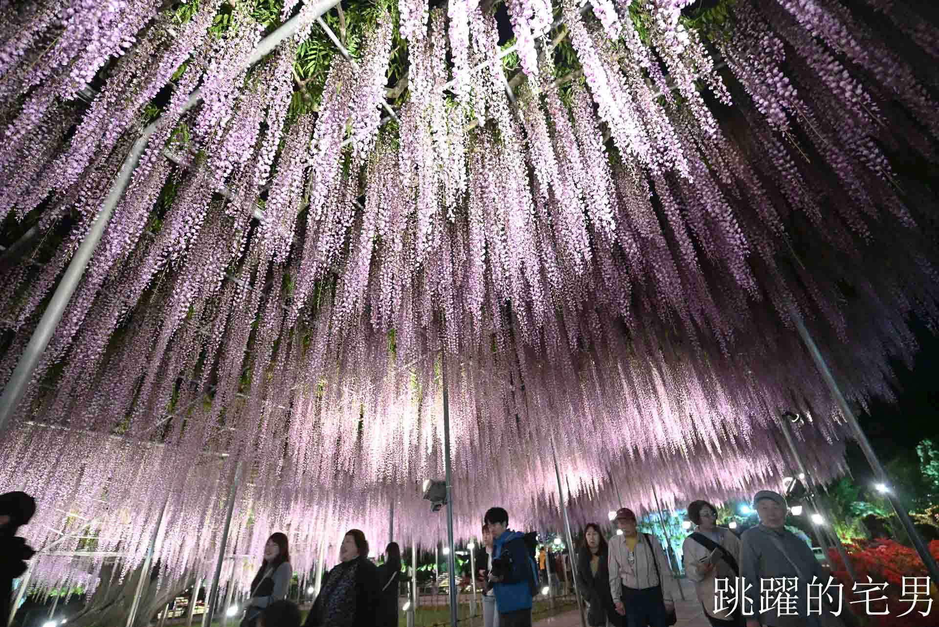 [櫪木景點] 足利花卉公園: CNN推薦夢幻景點，160年紫藤花瀑布超夢幻 !