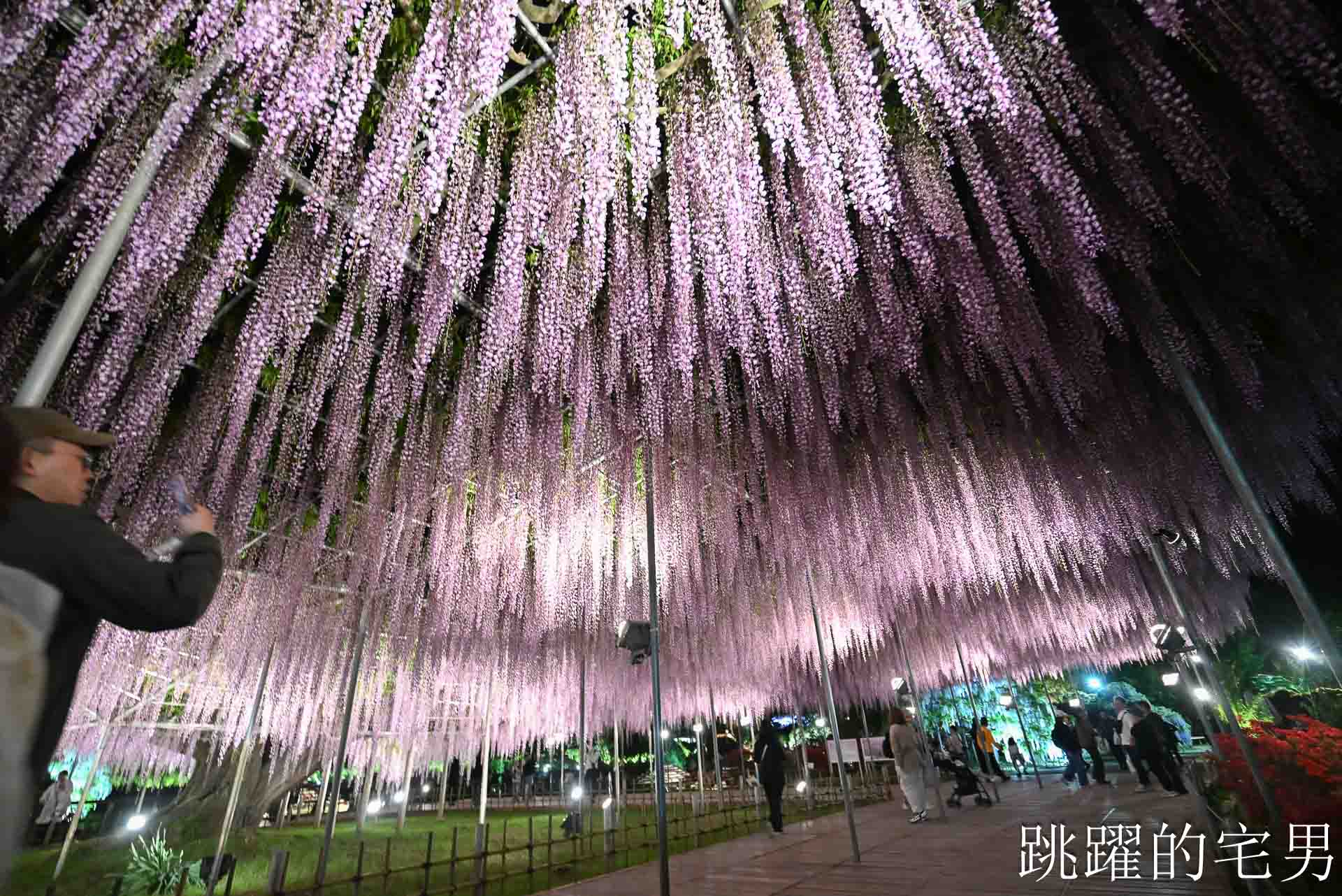 [櫪木景點] 足利花卉公園: CNN推薦夢幻景點，160年紫藤花瀑布超夢幻 !