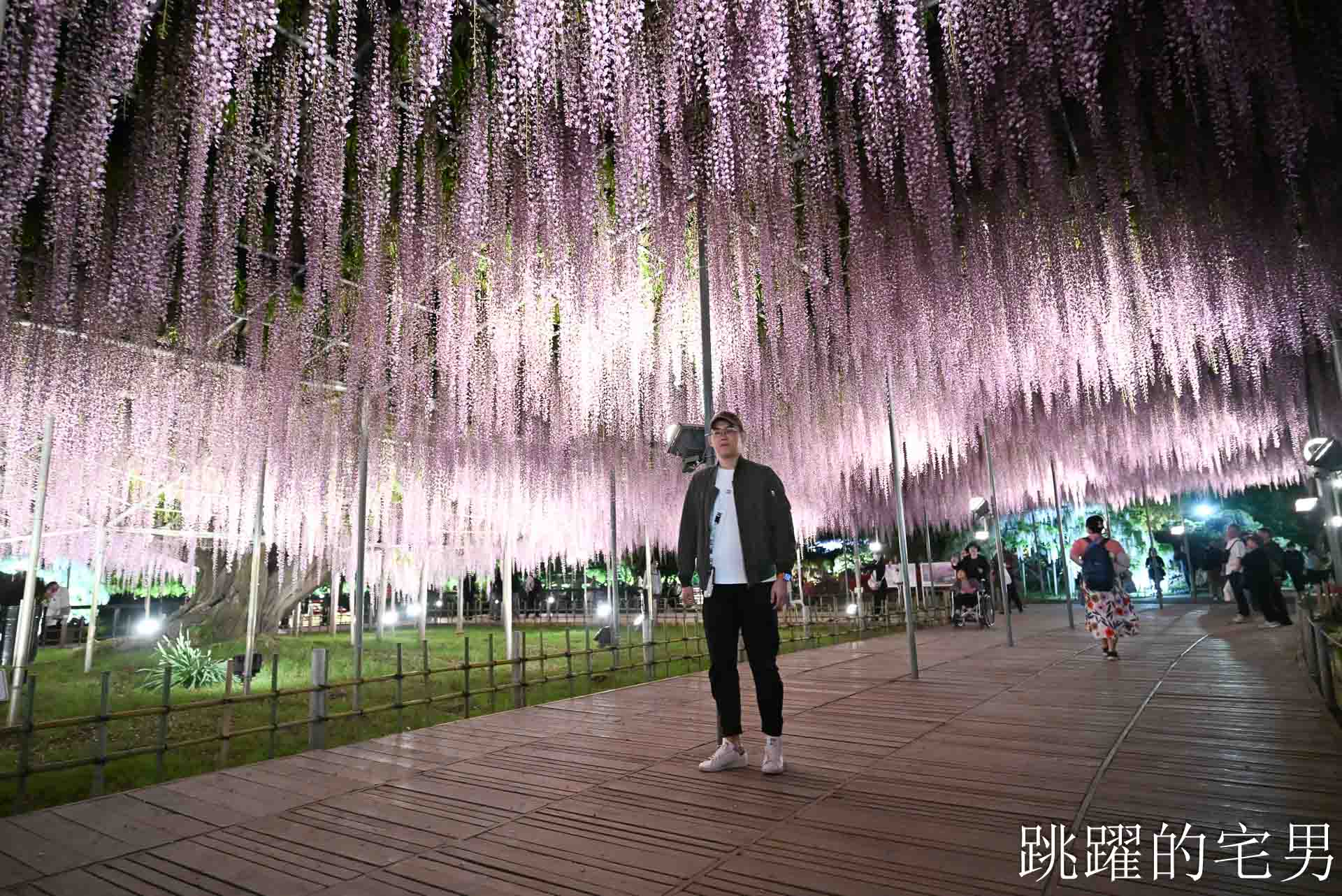 [櫪木景點] 足利花卉公園: CNN推薦夢幻景點，160年紫藤花瀑布超夢幻 ! @跳躍的宅男