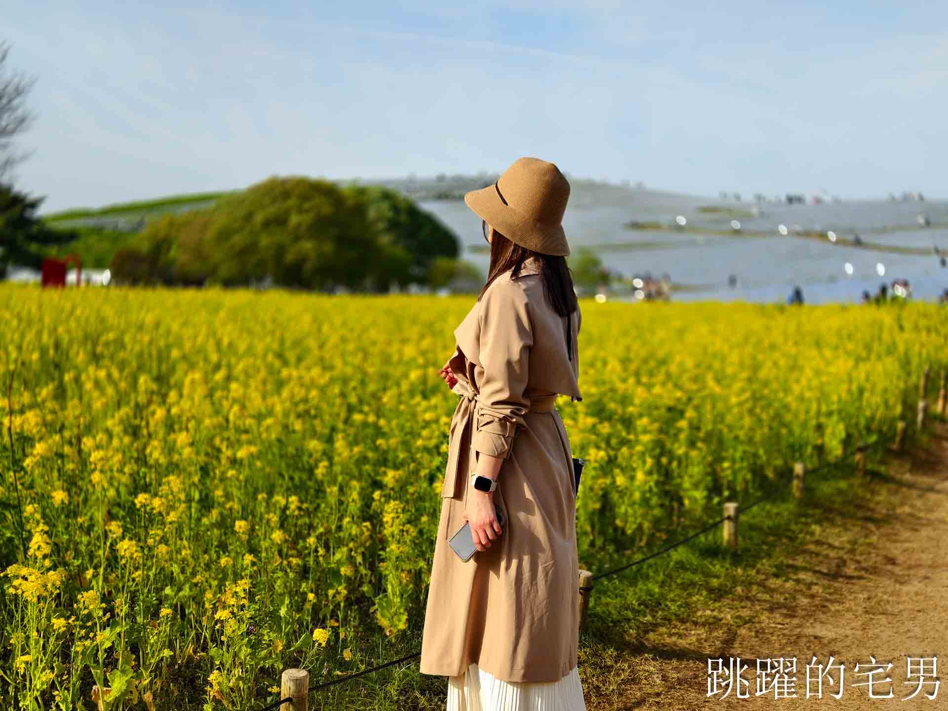 [茨城景點]國營常陸海濱公園-整片藍色花海就在日本見晴之丘粉蝶花，絕美景色超不真實，国営ひたち海浜公園-2026みはらしの丘
