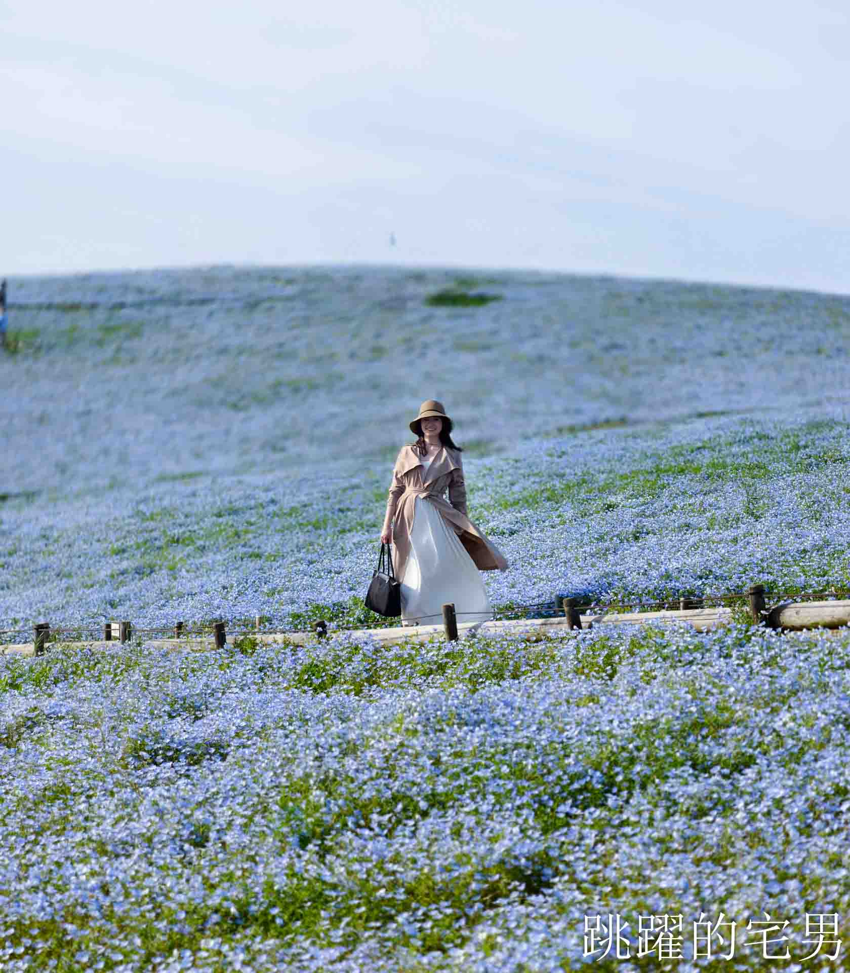 [櫪木景點] 足利花卉公園: CNN推薦夢幻景點，160年紫藤花瀑布超夢幻 !