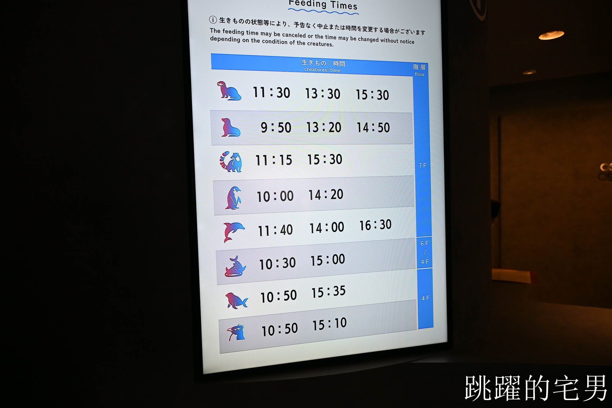 [大阪景點推薦]大阪海遊館-巨大鯨鯊近距離超震撼！企鵝海豚+樂高樂園+購物中心，超強大阪雨天備案、大阪親子景點、日本級水族館推薦