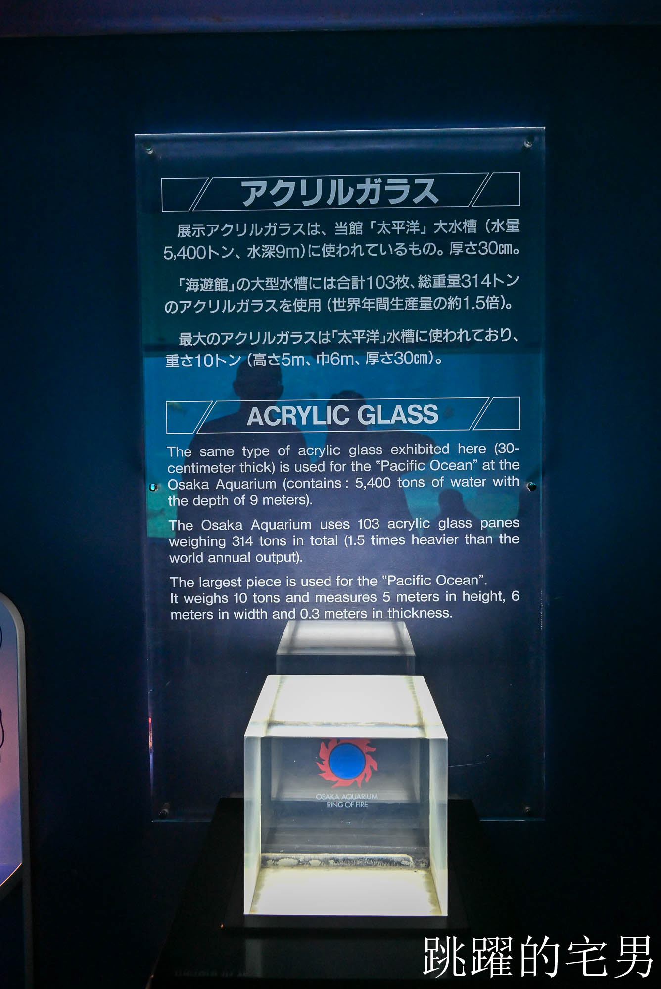 [大阪景點推薦]大阪海遊館-巨大鯨鯊近距離超震撼！企鵝海豚+樂高樂園+購物中心，超強大阪雨天備案、大阪親子景點、日本級水族館推薦