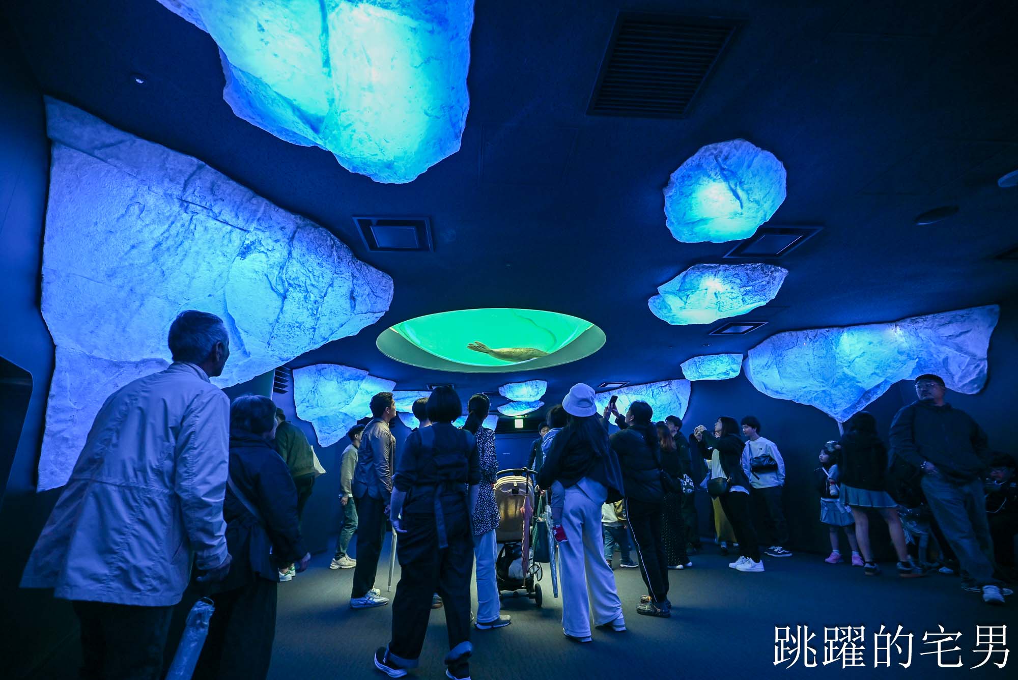 [大阪景點推薦]大阪海遊館-巨大鯨鯊近距離超震撼！企鵝海豚+樂高樂園+購物中心，超強大阪雨天備案、大阪親子景點、日本級水族館推薦