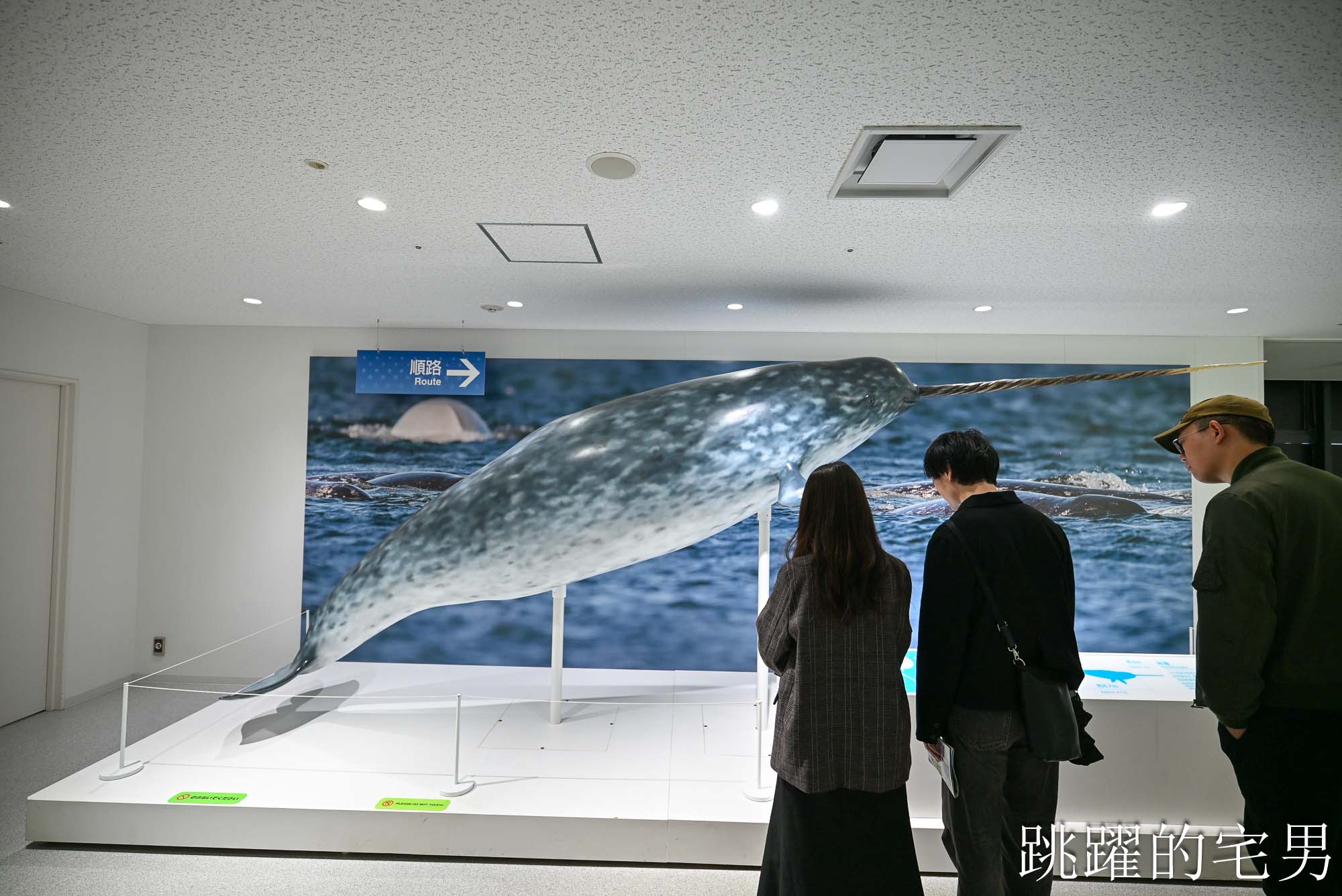 [大阪景點推薦]大阪海遊館-巨大鯨鯊近距離超震撼！企鵝海豚+樂高樂園+購物中心，超強大阪雨天備案、大阪親子景點、日本級水族館推薦