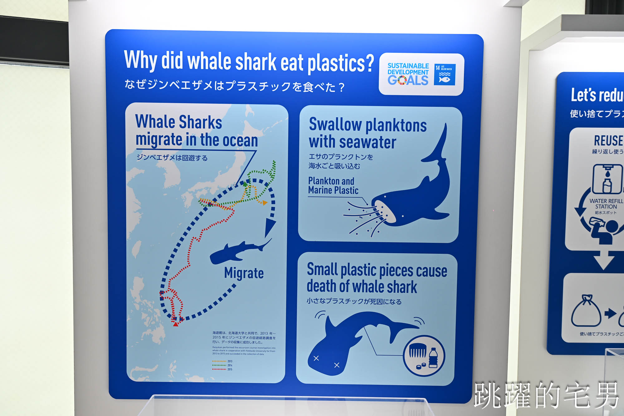 [大阪景點推薦]大阪海遊館-巨大鯨鯊近距離超震撼！企鵝海豚+樂高樂園+購物中心，超強大阪雨天備案、大阪親子景點、日本級水族館推薦